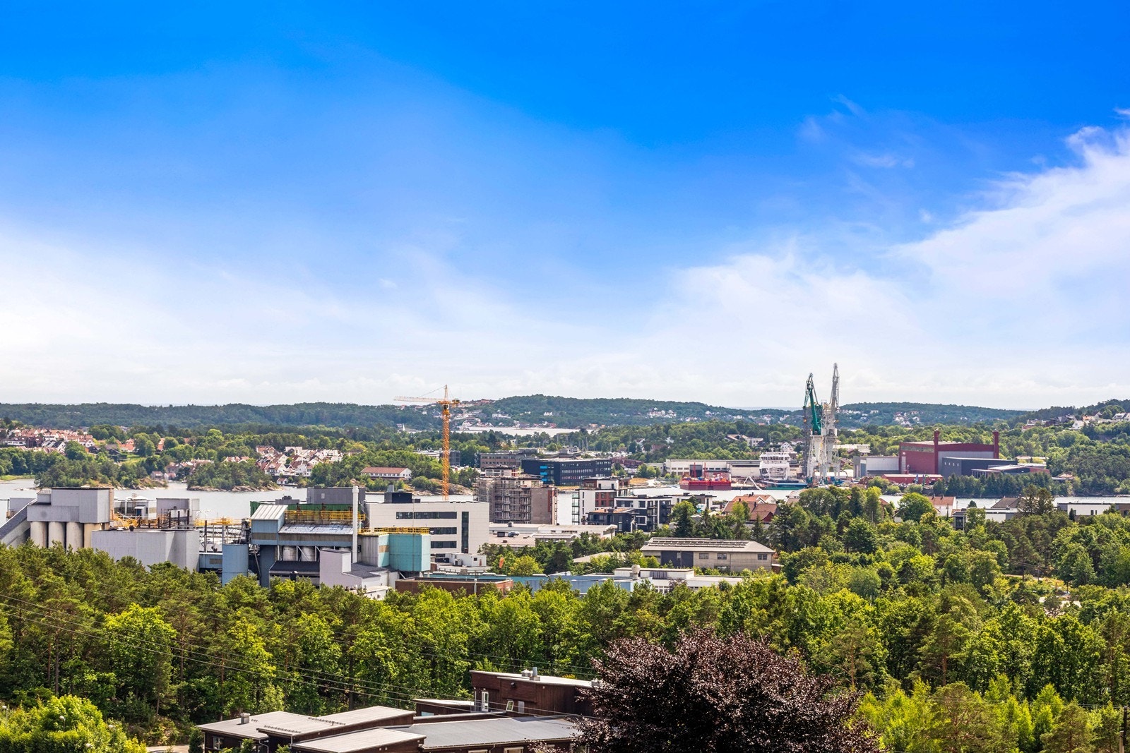 Utsikt. Galleribilde