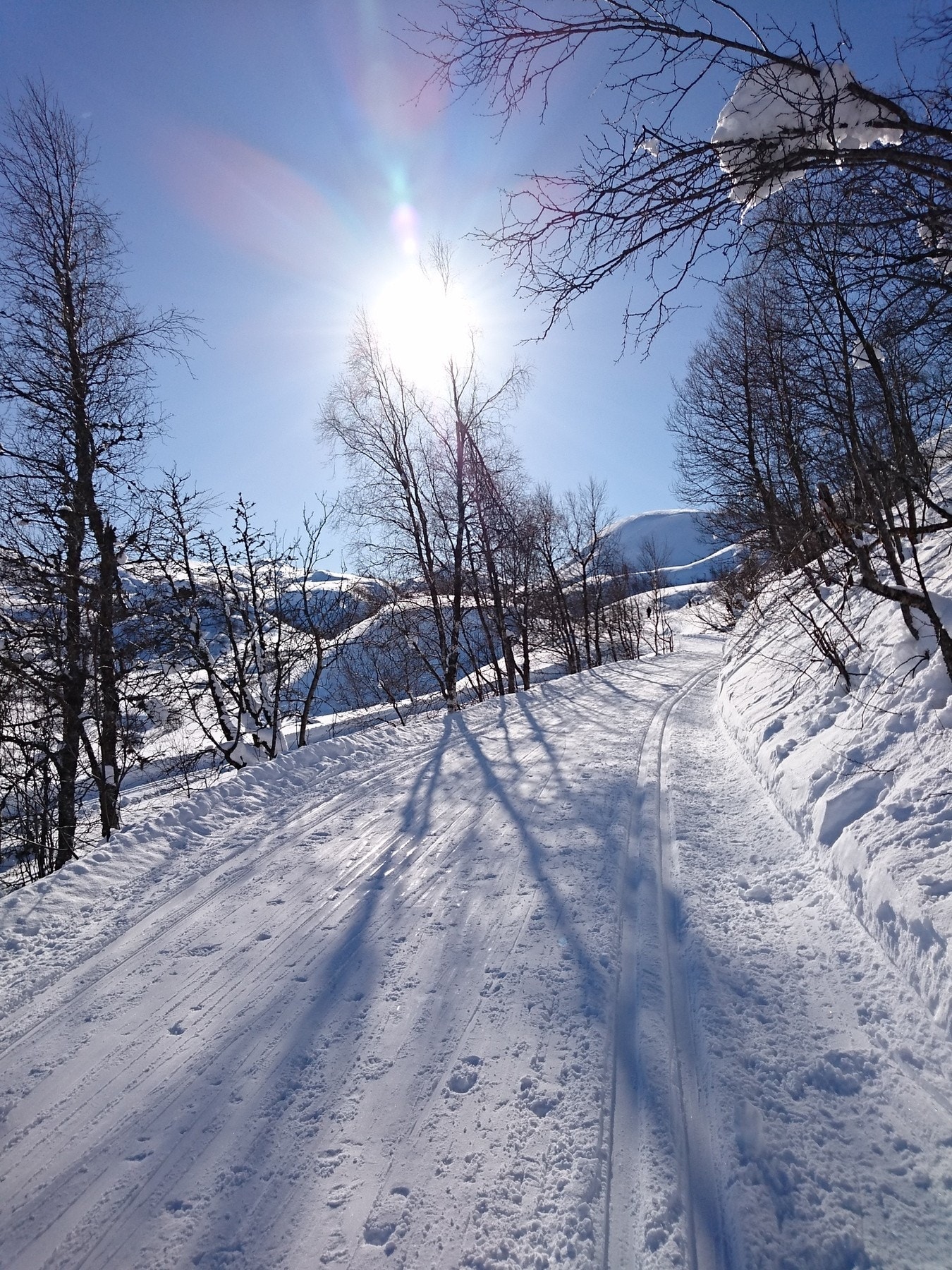 Kvamskogen har ca. 60 km preparerte skiløyper i sesongen. Galleribilde