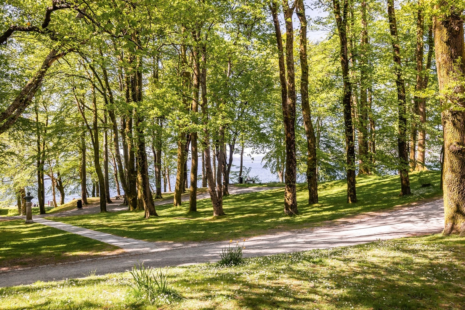 Kort gangavstand til Nordnesparken. Galleribilde