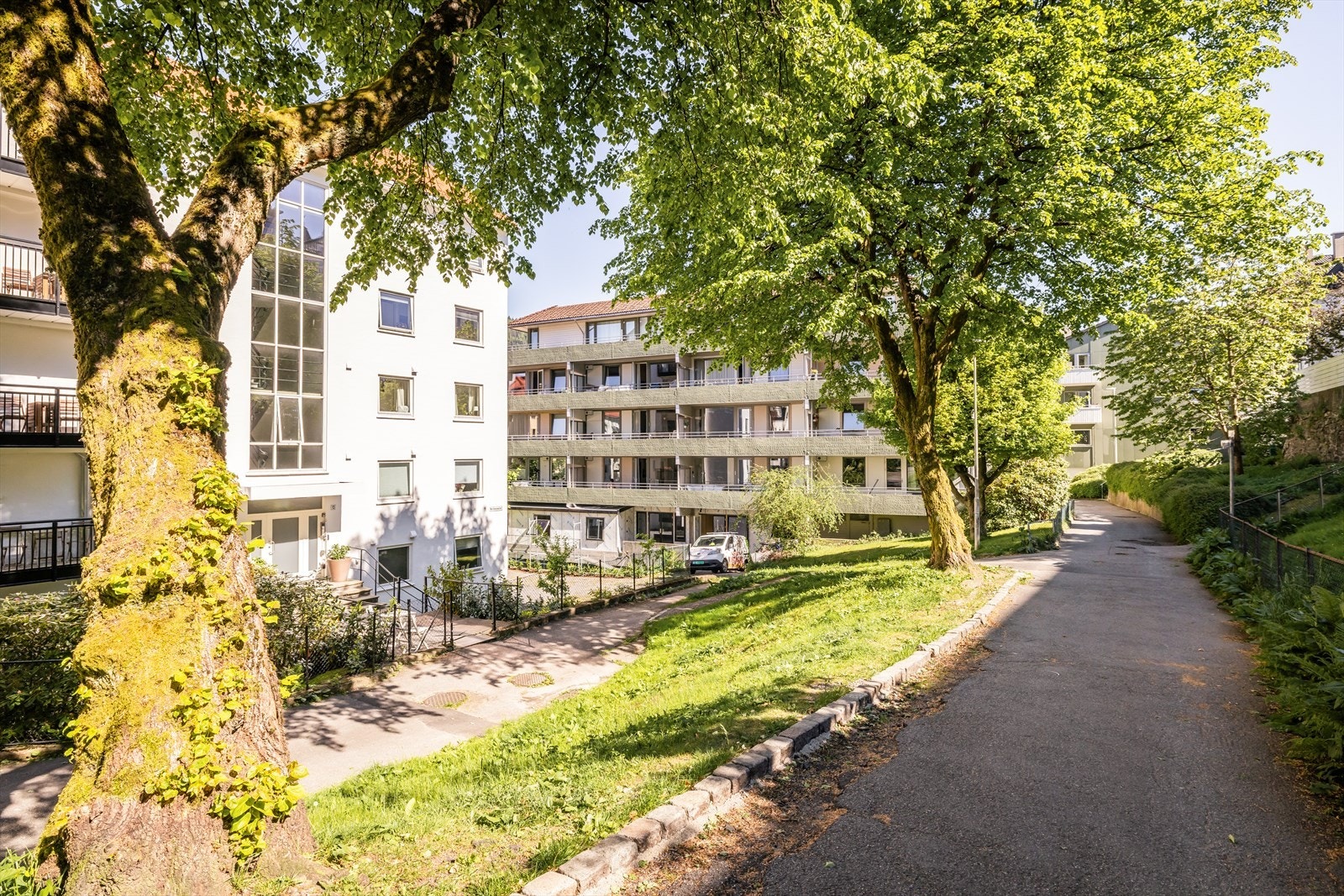 Flere asfalterte gangstier som tar deg til og fra leiligheten. Galleribilde