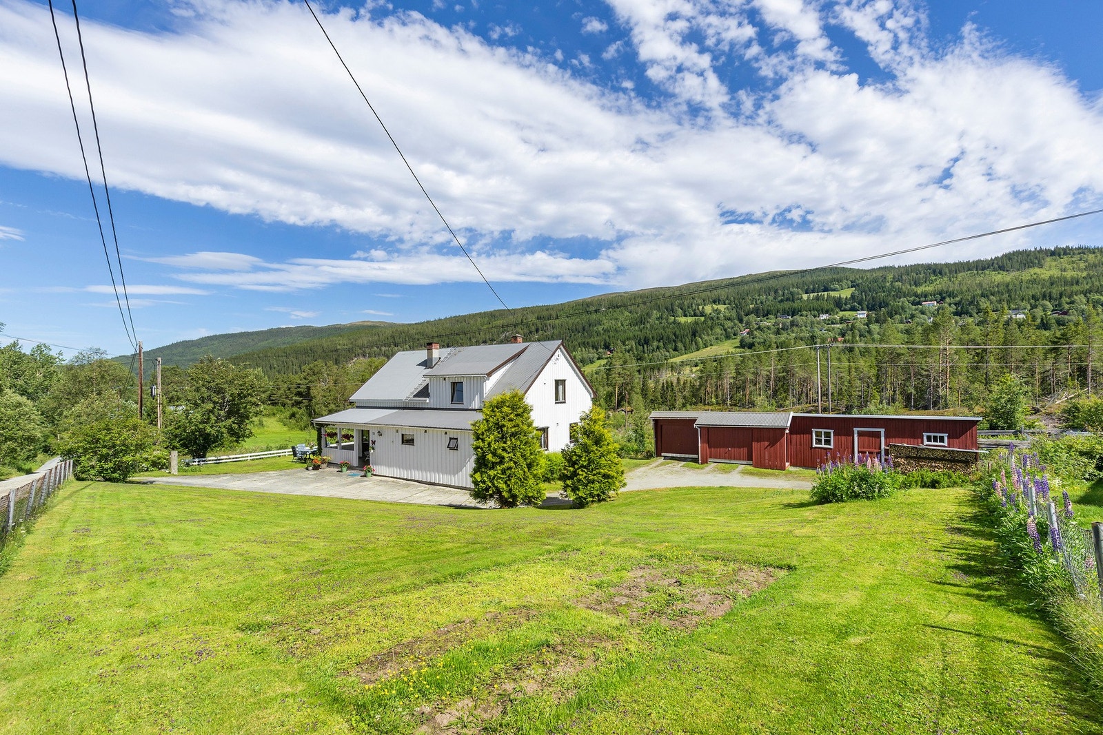 Romslig tomt med pent opparbeidet hage Galleribilde