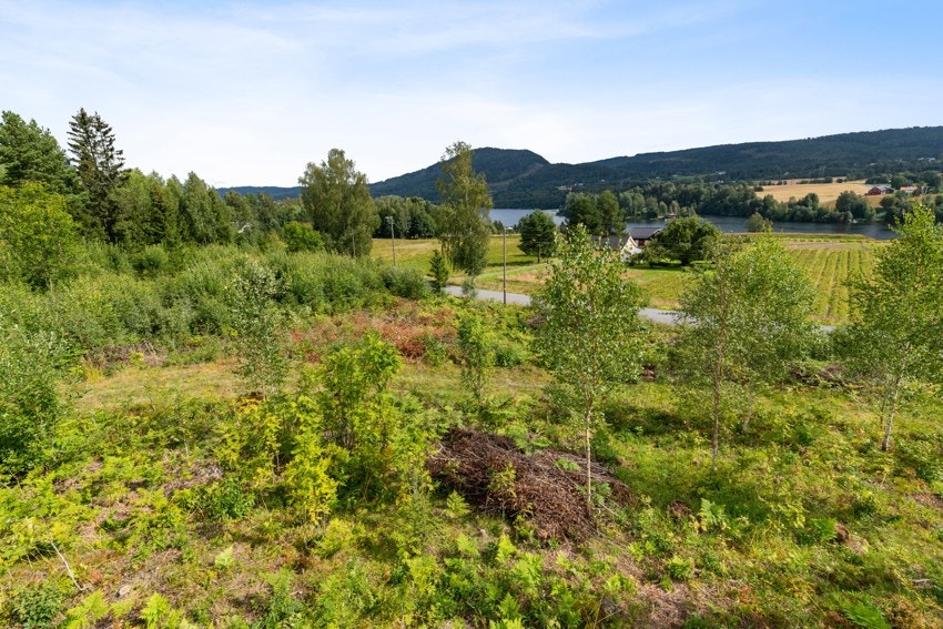 Velkommen til Setrevegen! Galleribilde