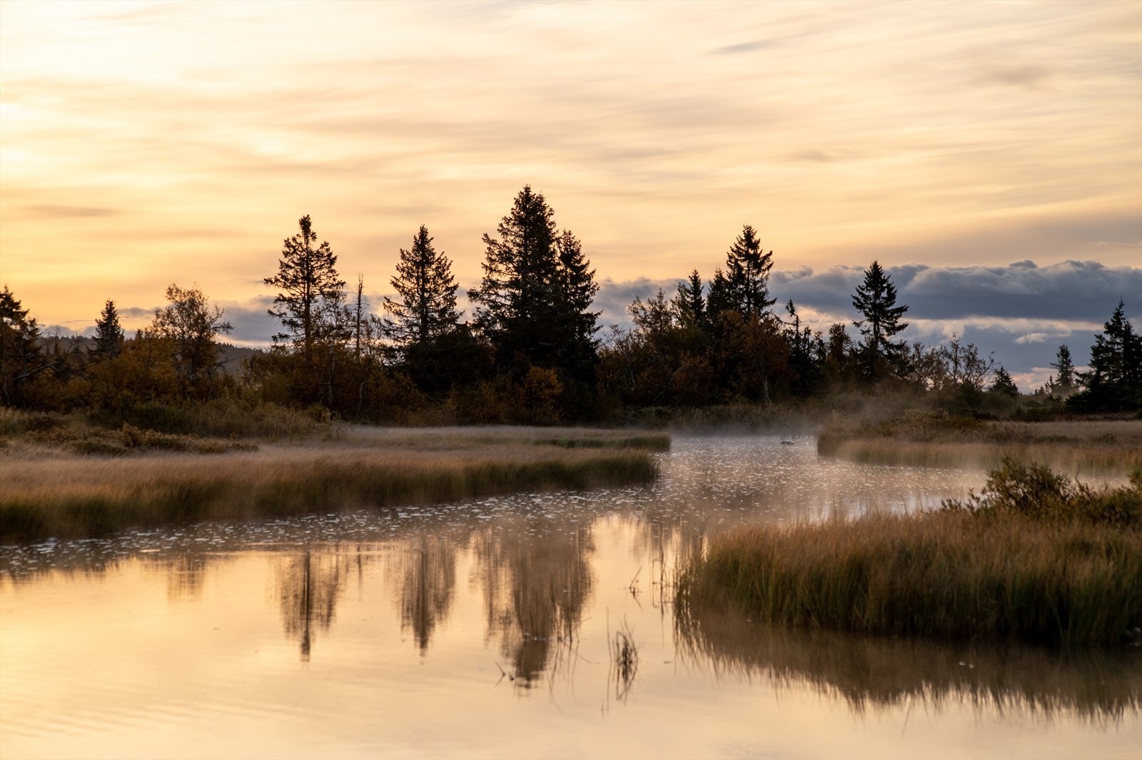 Områdebilde. Magisk stemning ved Fjellelva. Galleribilde
