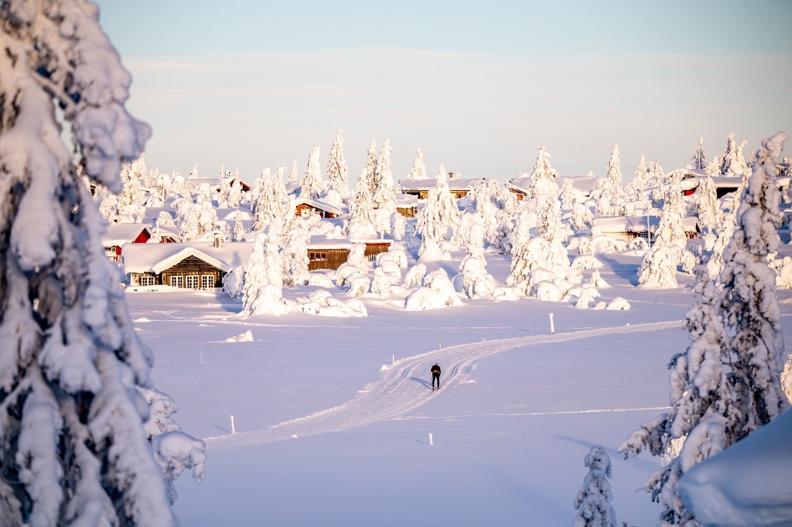 Herlig stemningsbilde fra området. Her fra skiløypa ved Fjellelva. Galleribilde