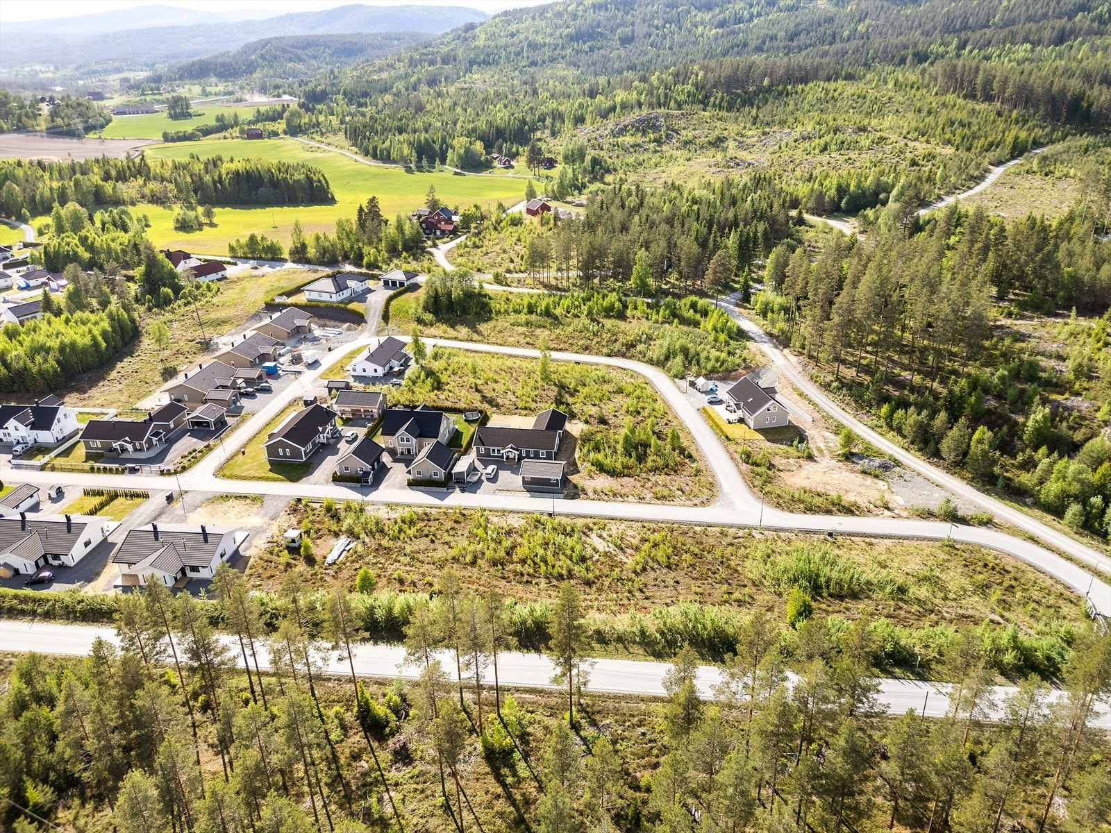 Tomtefeltet sett fra vest. Galleribilde