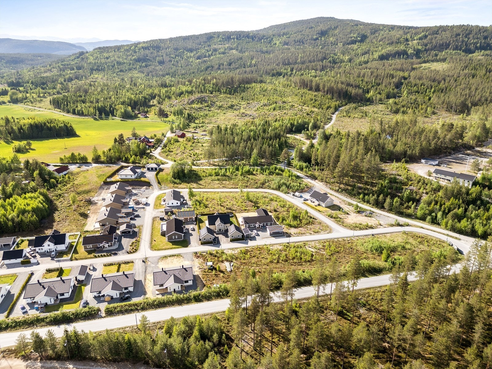 Tomtefeltet sett fra vest. Galleribilde