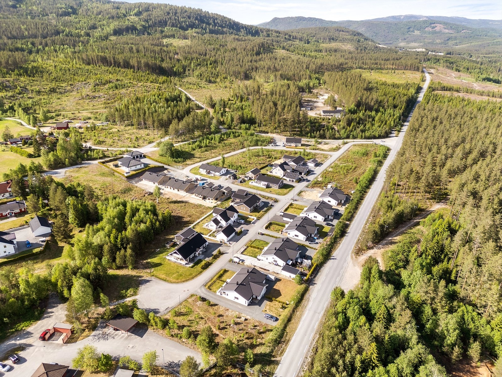 Tomtefeltet sett fra sør. Galleribilde