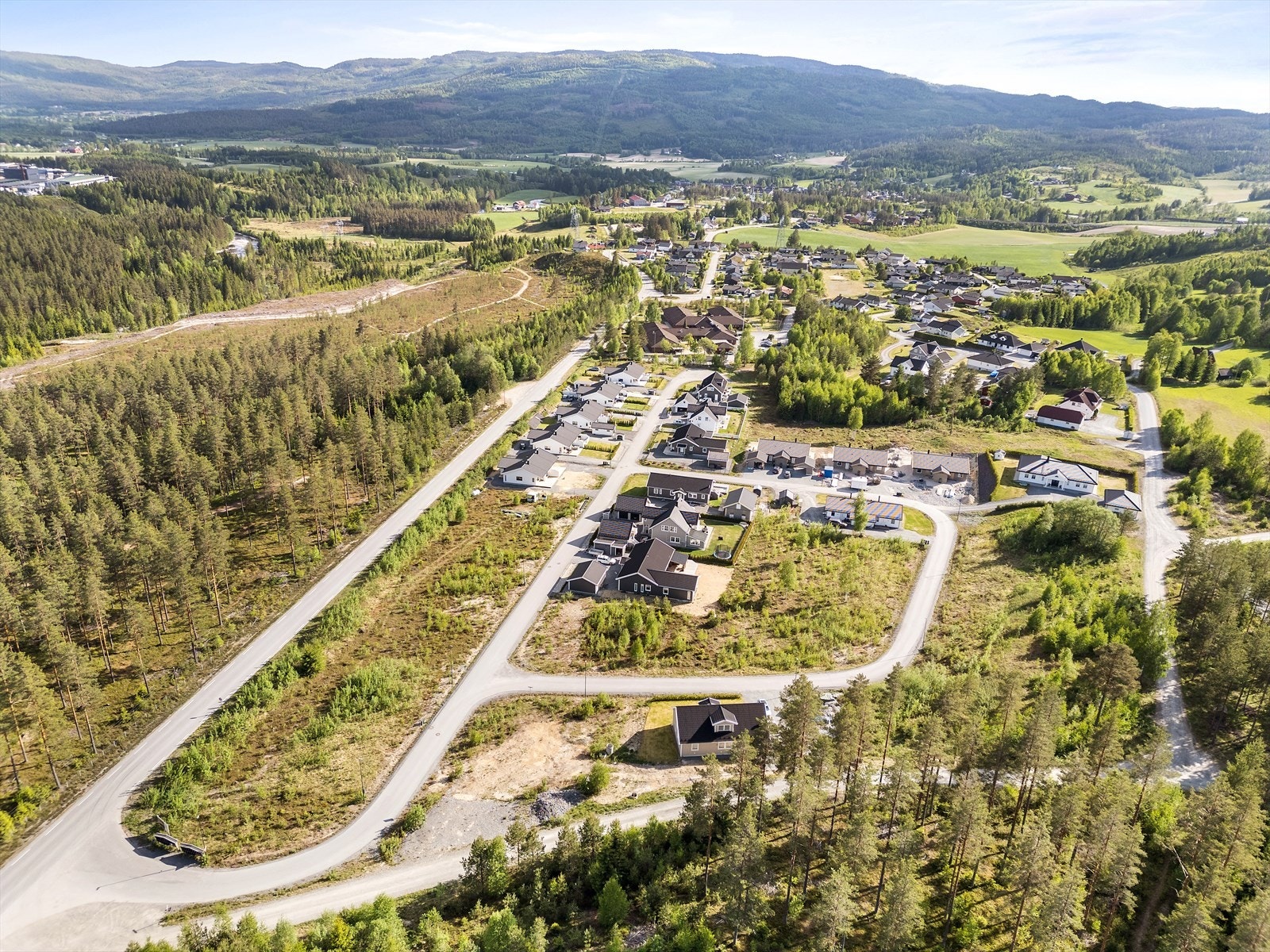 Tomtefeltet sett fra nord. Galleribilde