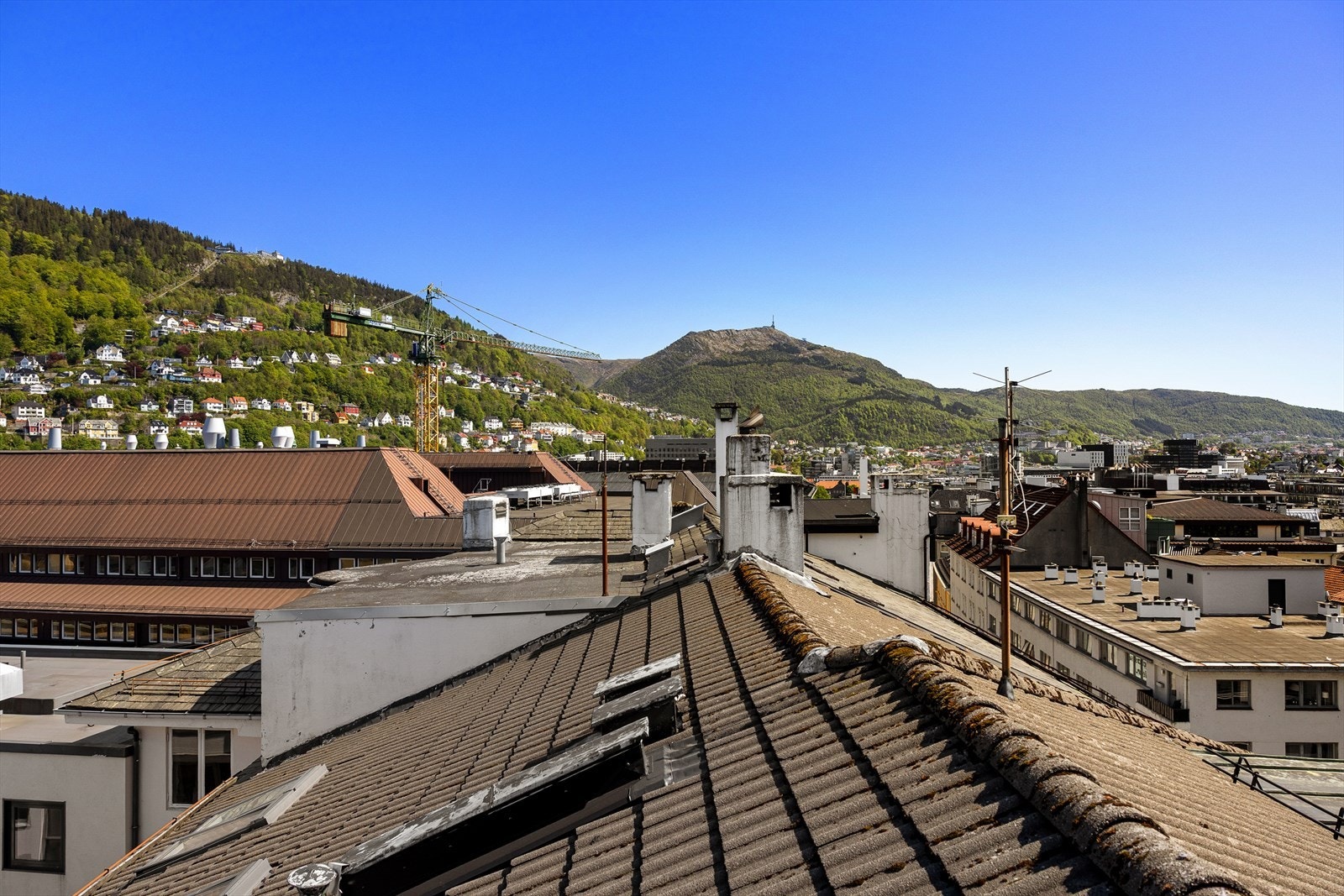 - Fantastisk ramme for gode samtaler og solfylte dager - Galleribilde