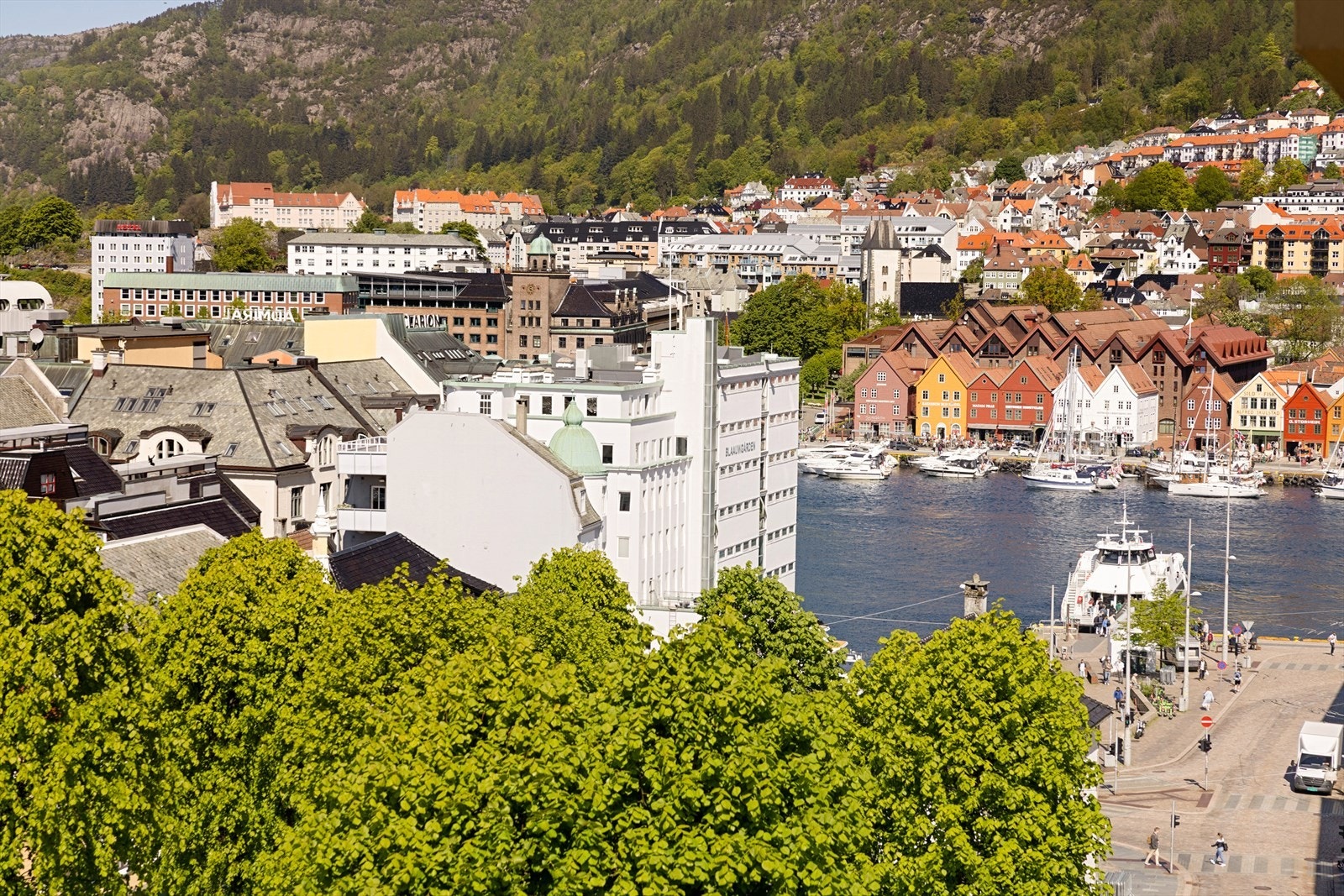 - Fredelig utsikt mot grønne og urbane omgivelser - Galleribilde