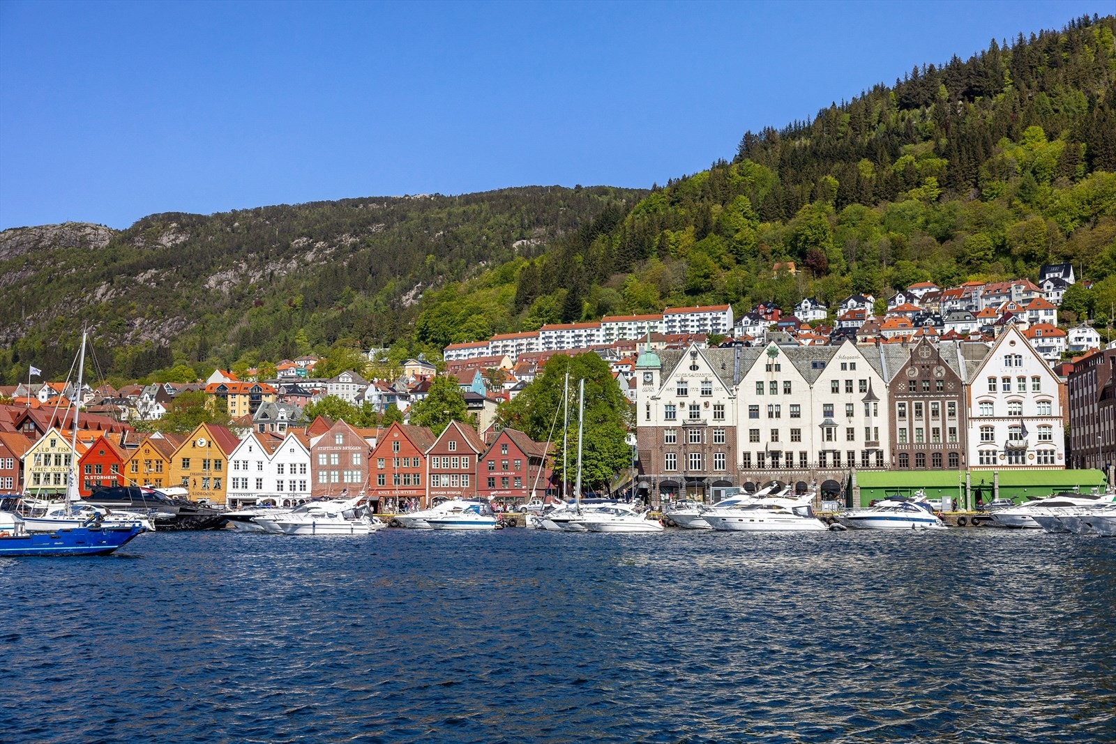 - Opplev hva Bergen har å by på like utenfor leiligheten - Galleribilde