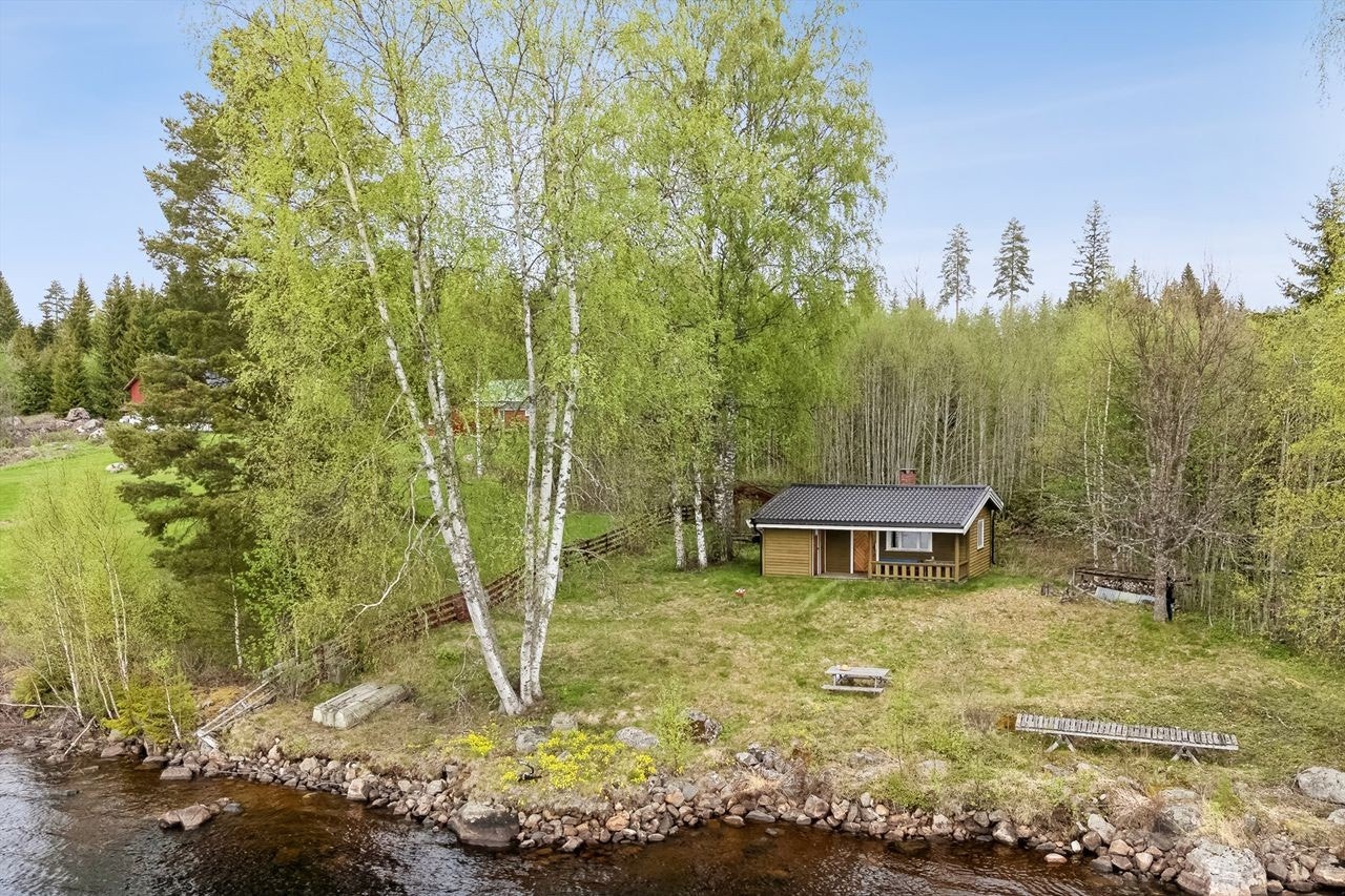Usjenert og idyllisk, med frodig naturtomt helt inntil vannkanten. Galleribilde