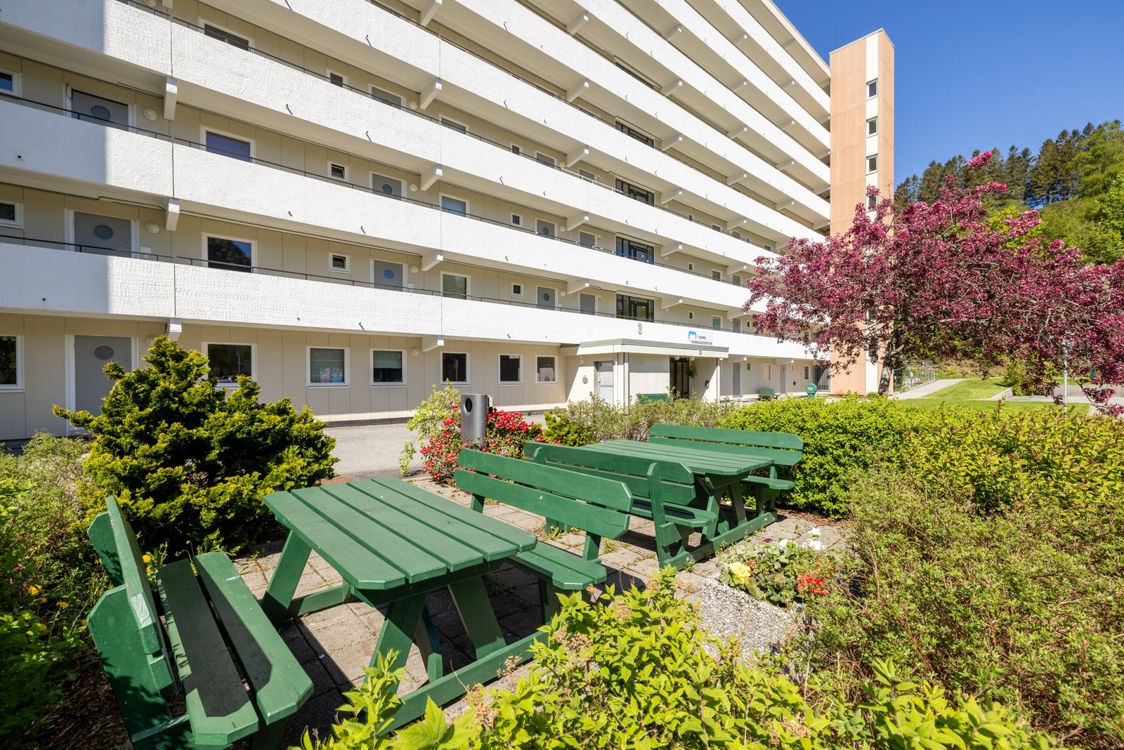 Velkommen til visning, husk å meld deg på! Galleribilde