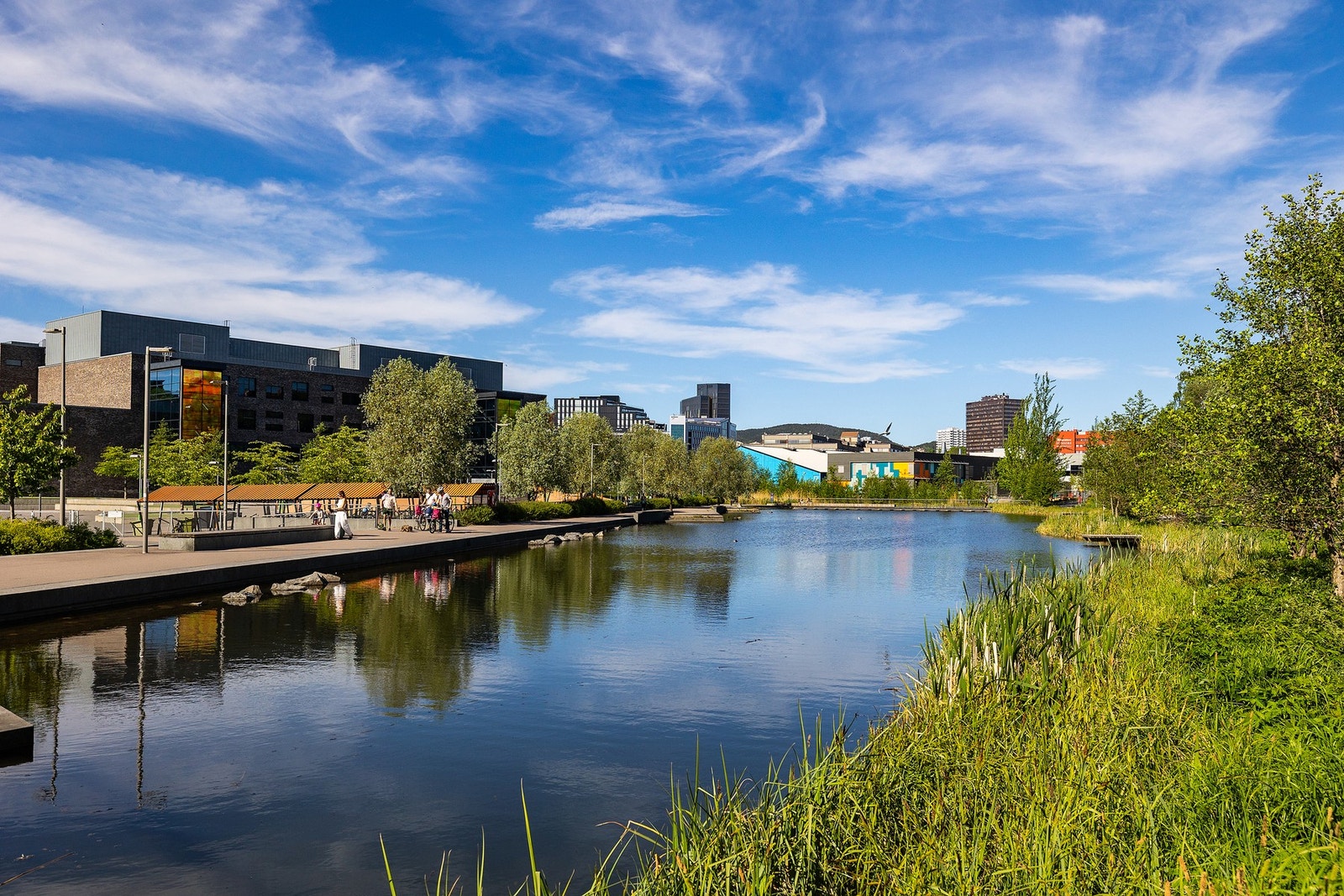 Nærområdet - Kort vei til Teglverksdammen! Galleribilde