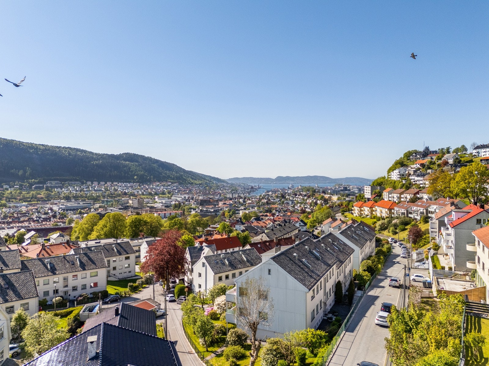 Fra boligen er det 3 minutter gangavstand til Bunnpris og 4 minutter gange til buss som tar deg retning Haukeland og sentrum. Galleribilde