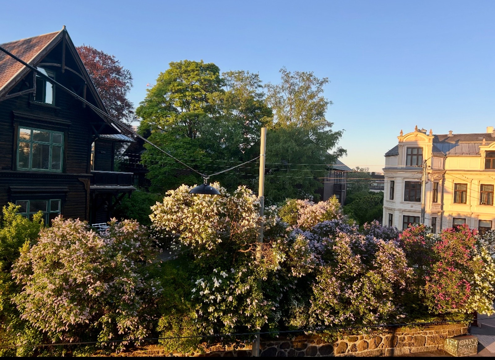 Frodig utsyn fra leilighten. Galleribilde