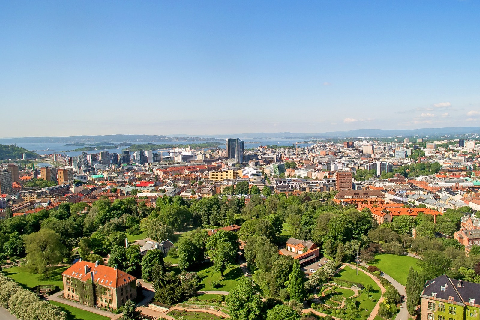 Nærområdet. Galleribilde