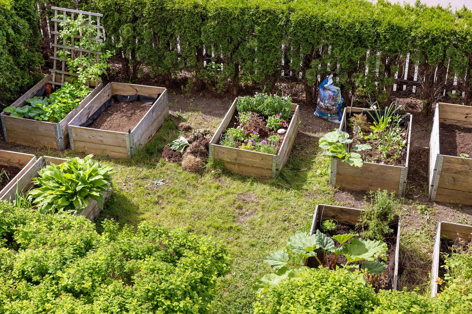 Flotte fellesarealer med blant annet dyrkekasser. Galleribilde