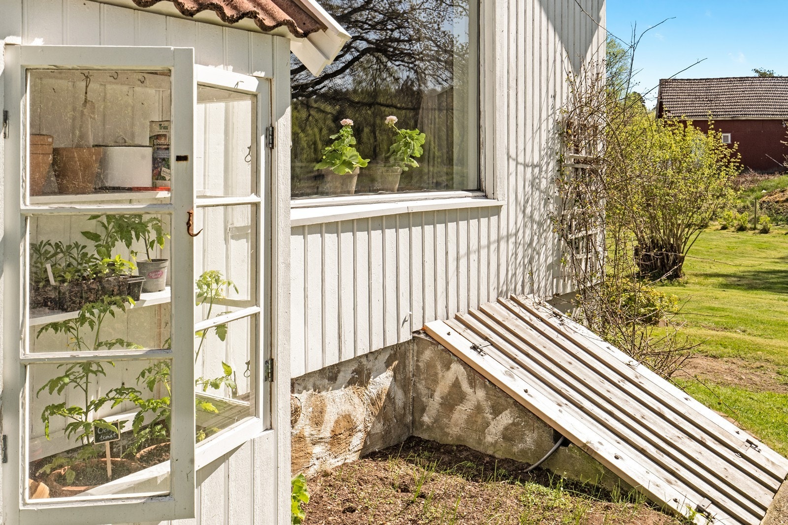 For deg med "grønne" fingre Galleribilde