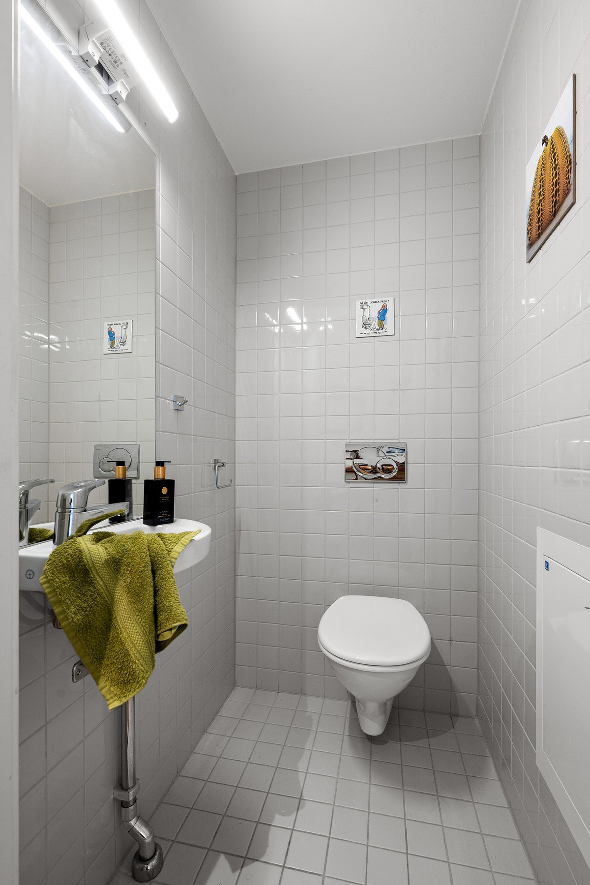 I tilknytning til hallen er det et separat toalettrom Galleribilde