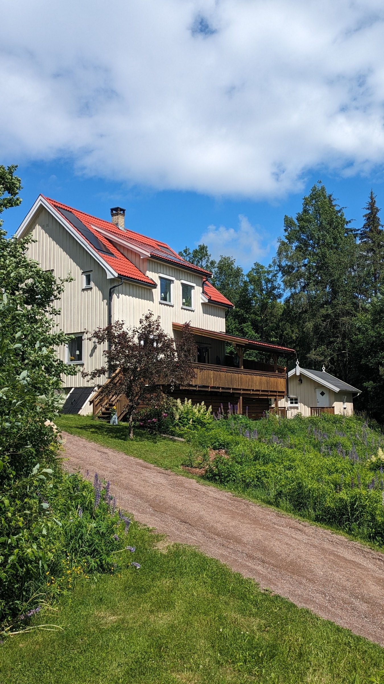 Sommerbilde Galleribilde