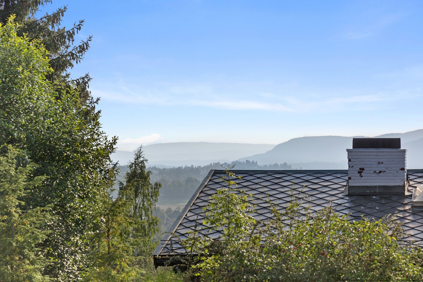 Utsikt. Galleribilde