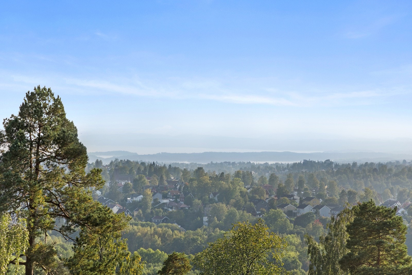 Utsikt. Galleribilde