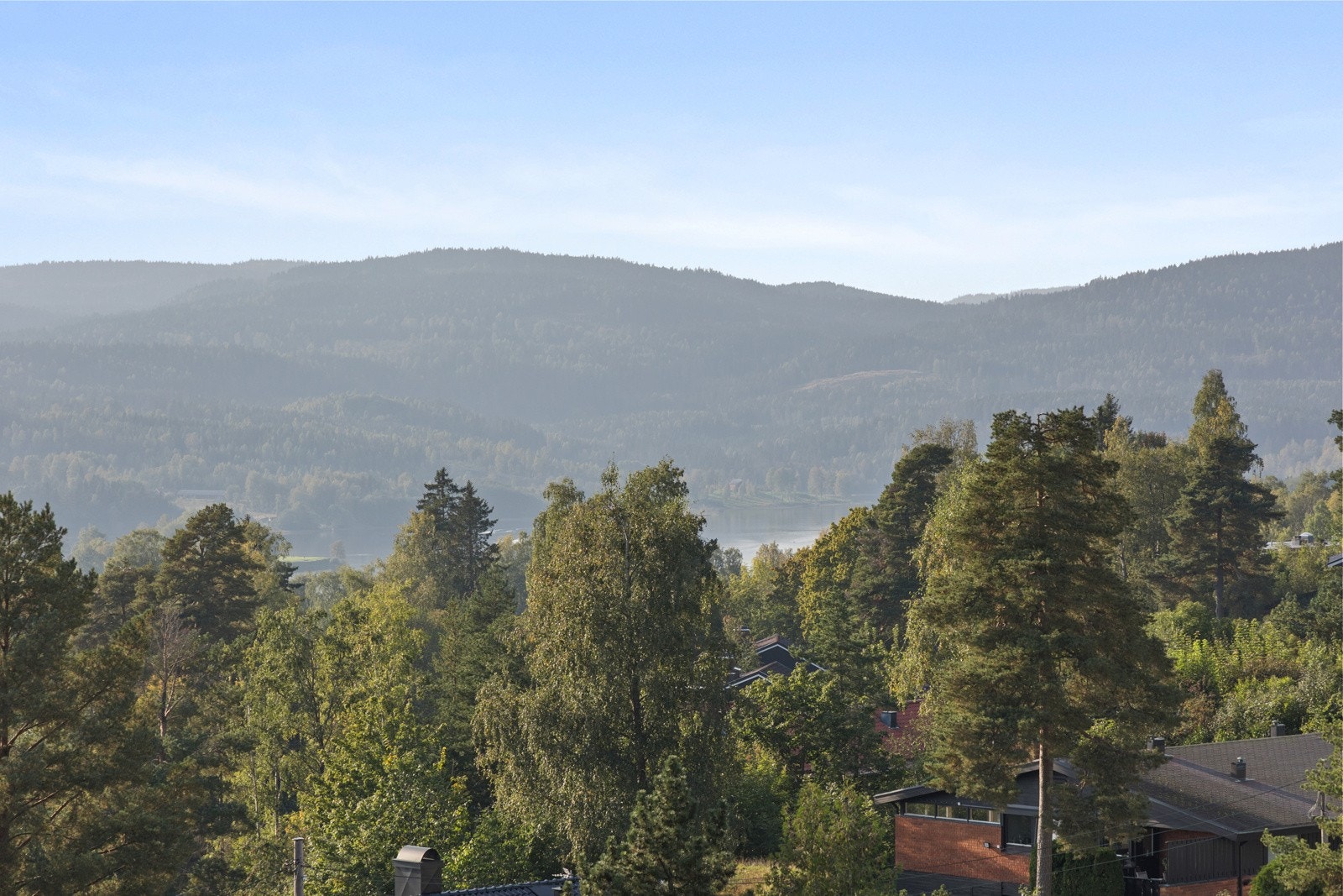 Utsikt. Galleribilde