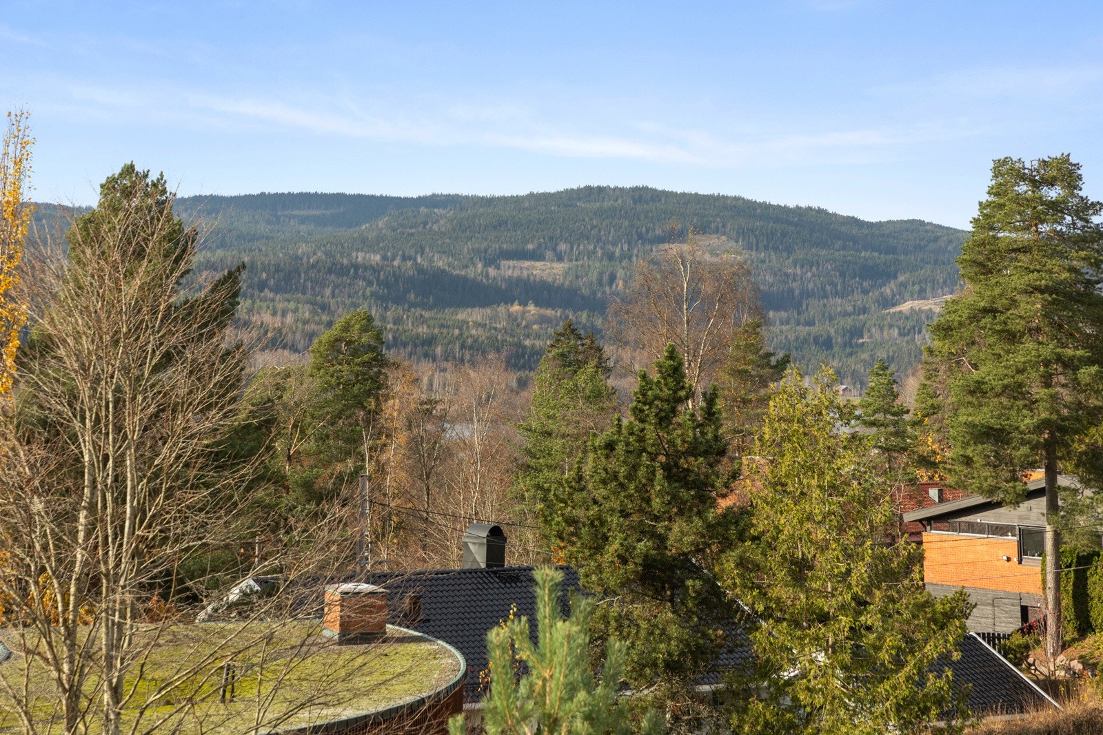 Utsikt. Galleribilde