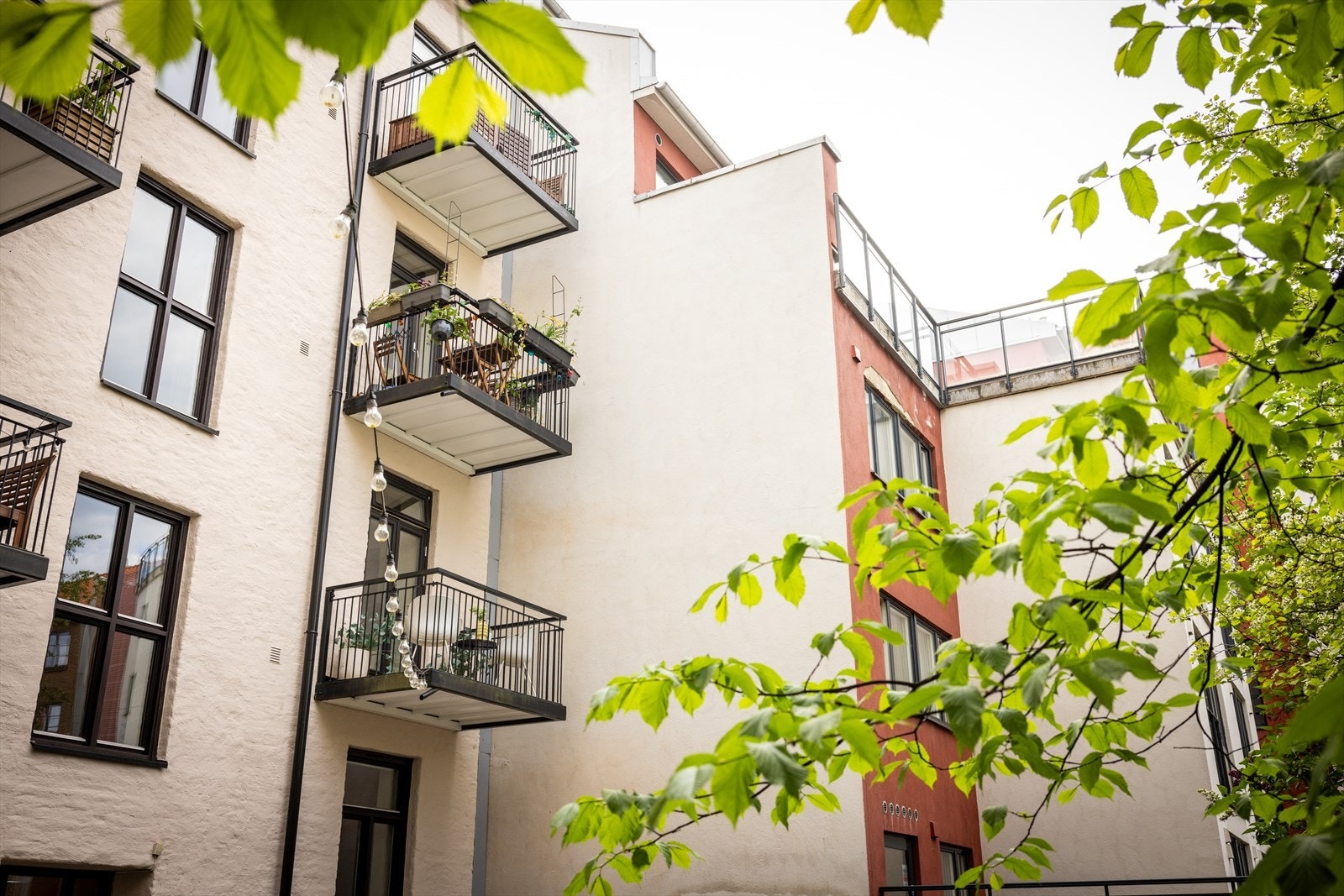 - Fasade fra bakgård - Galleribilde