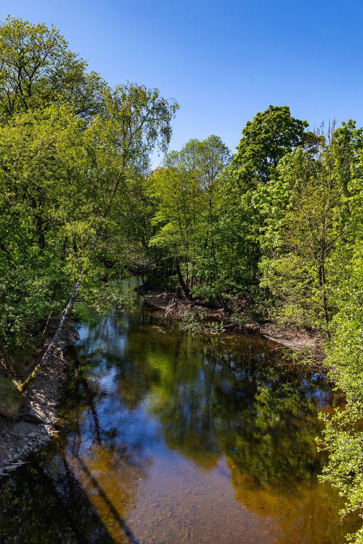 Nyt stillheten i vakre omgivelser midt i byen! Galleribilde