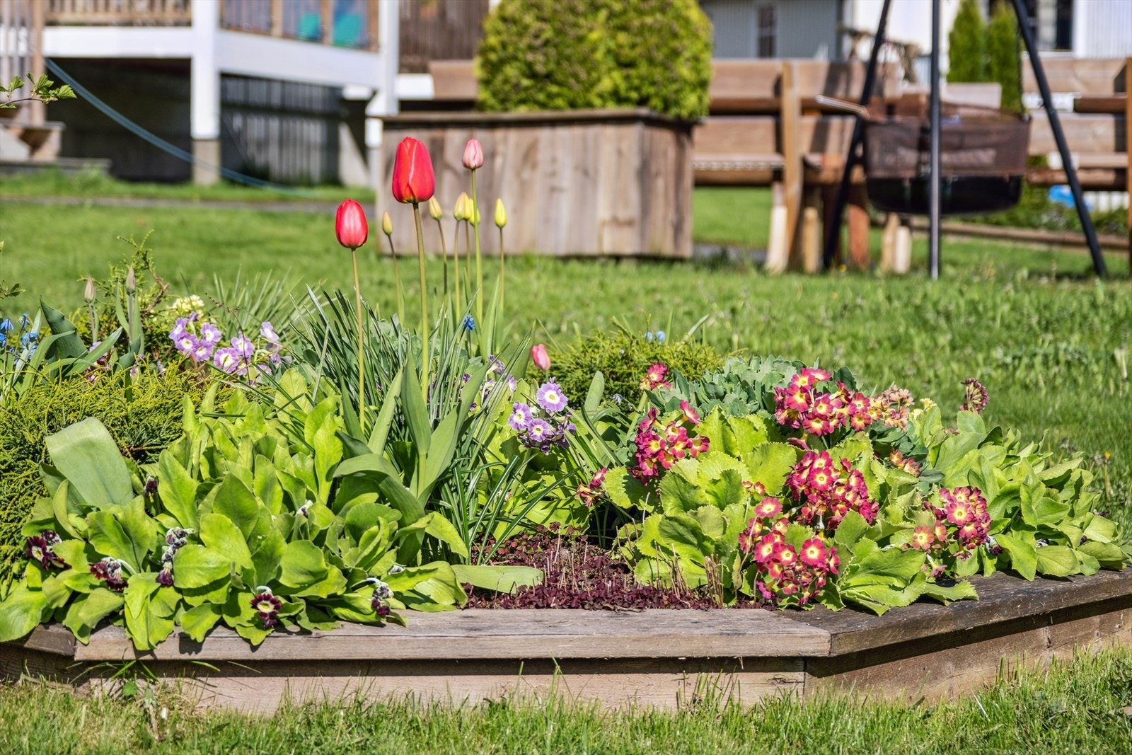 Uteområdet er pent opparbeidet Galleribilde