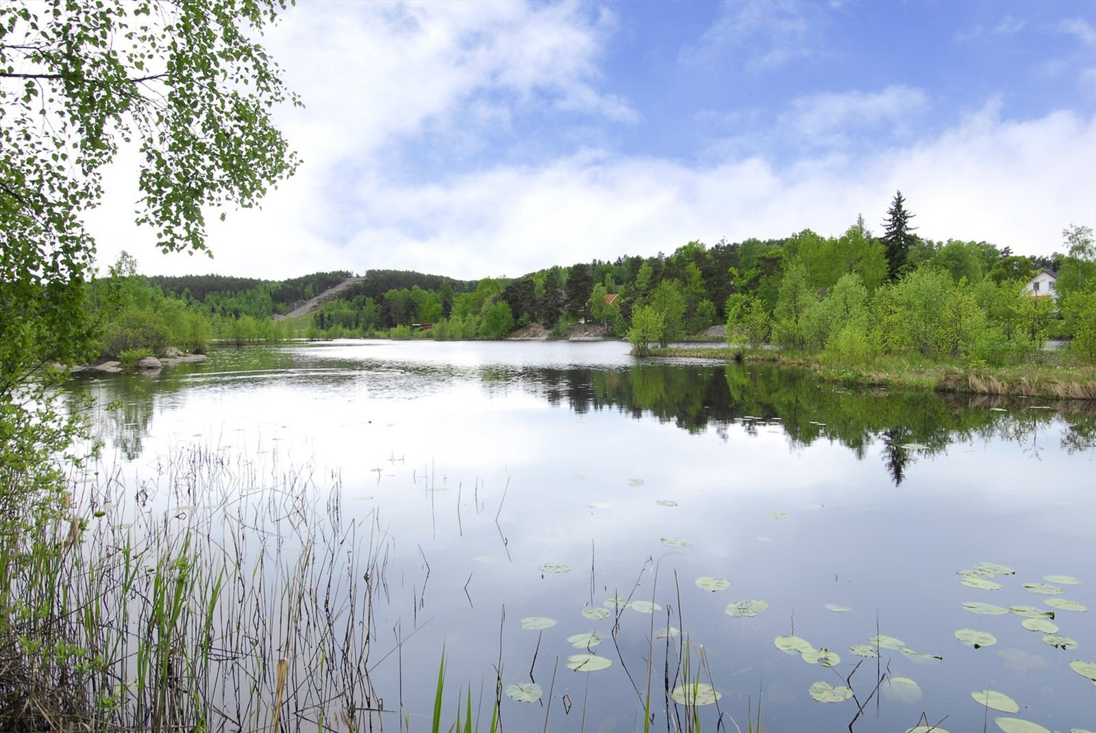 Kort vei til flotte turområder i skog og mark. Galleribilde