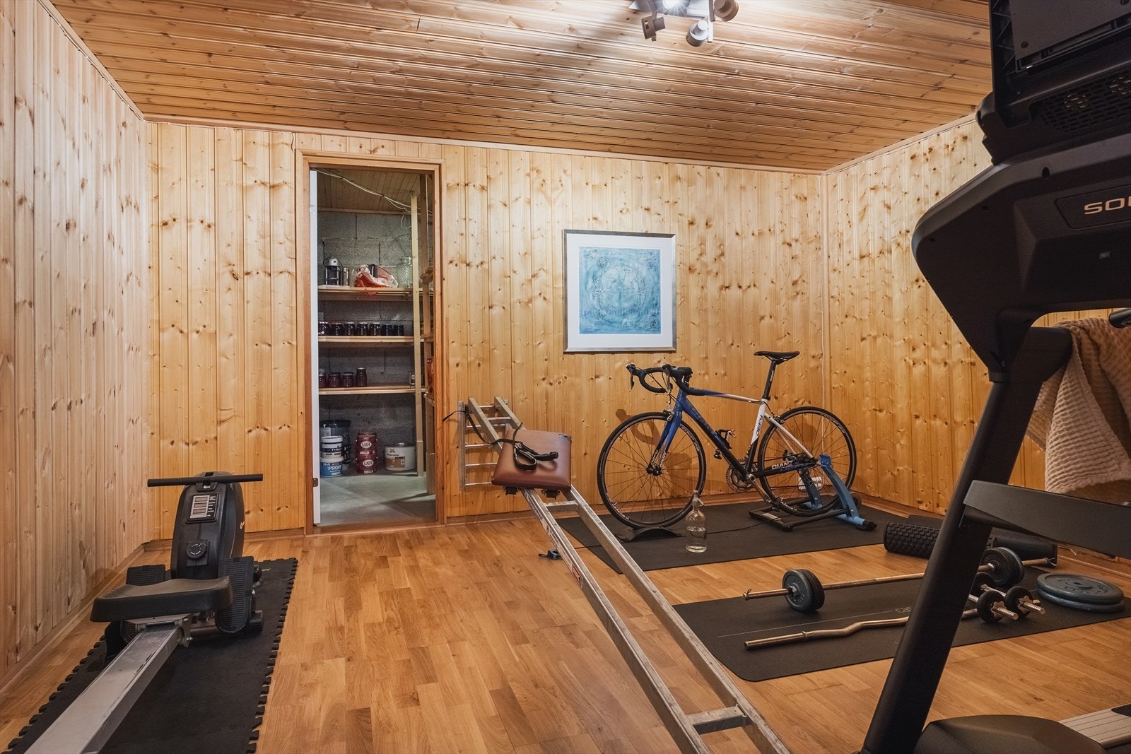 Treningsrom i underetasjen (tilhørende hoveddelen) Galleribilde