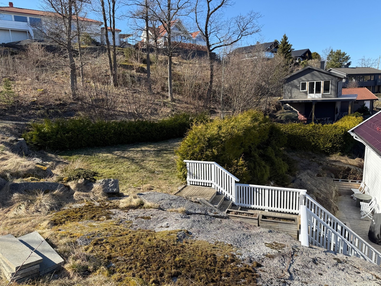 Det tilhører en liten hage mot vest Galleribilde