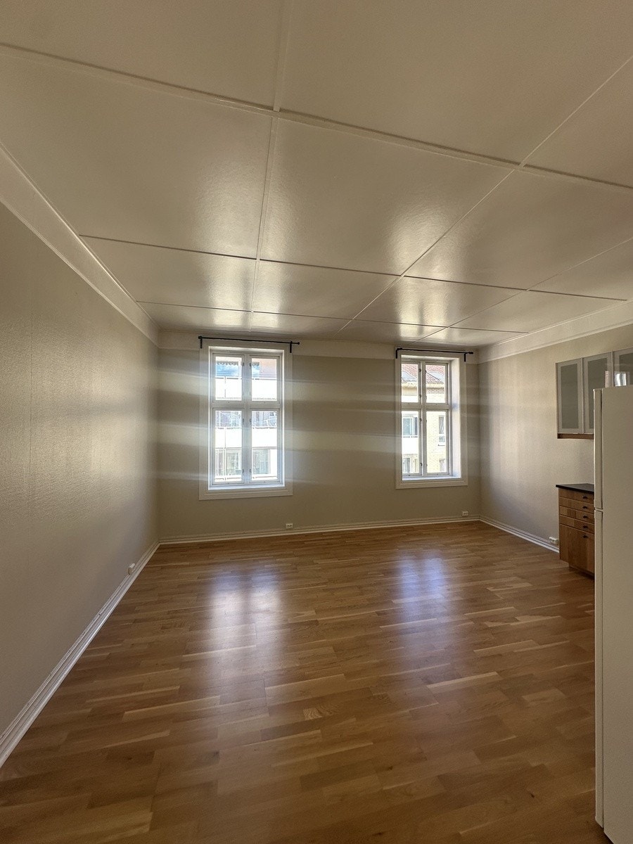 Stor og romslig stue Galleribilde