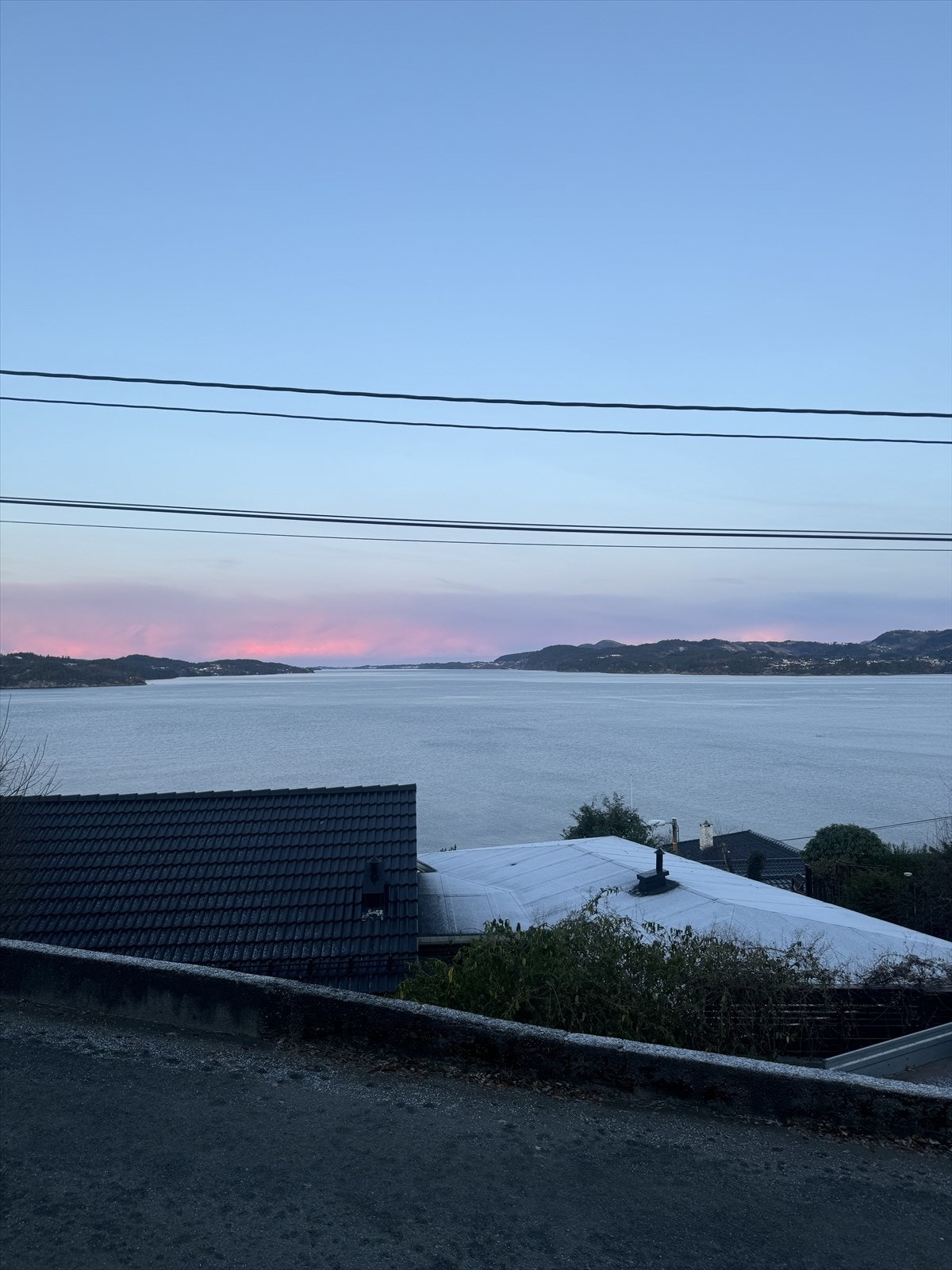 - Bilde fra selger - Galleribilde