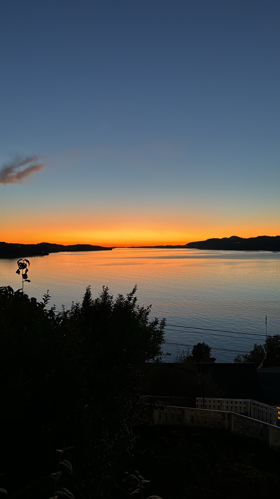 - Bilde fra selger - Galleribilde