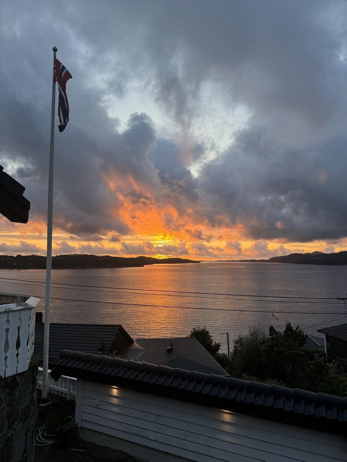 - Bilde fra selger - Galleribilde