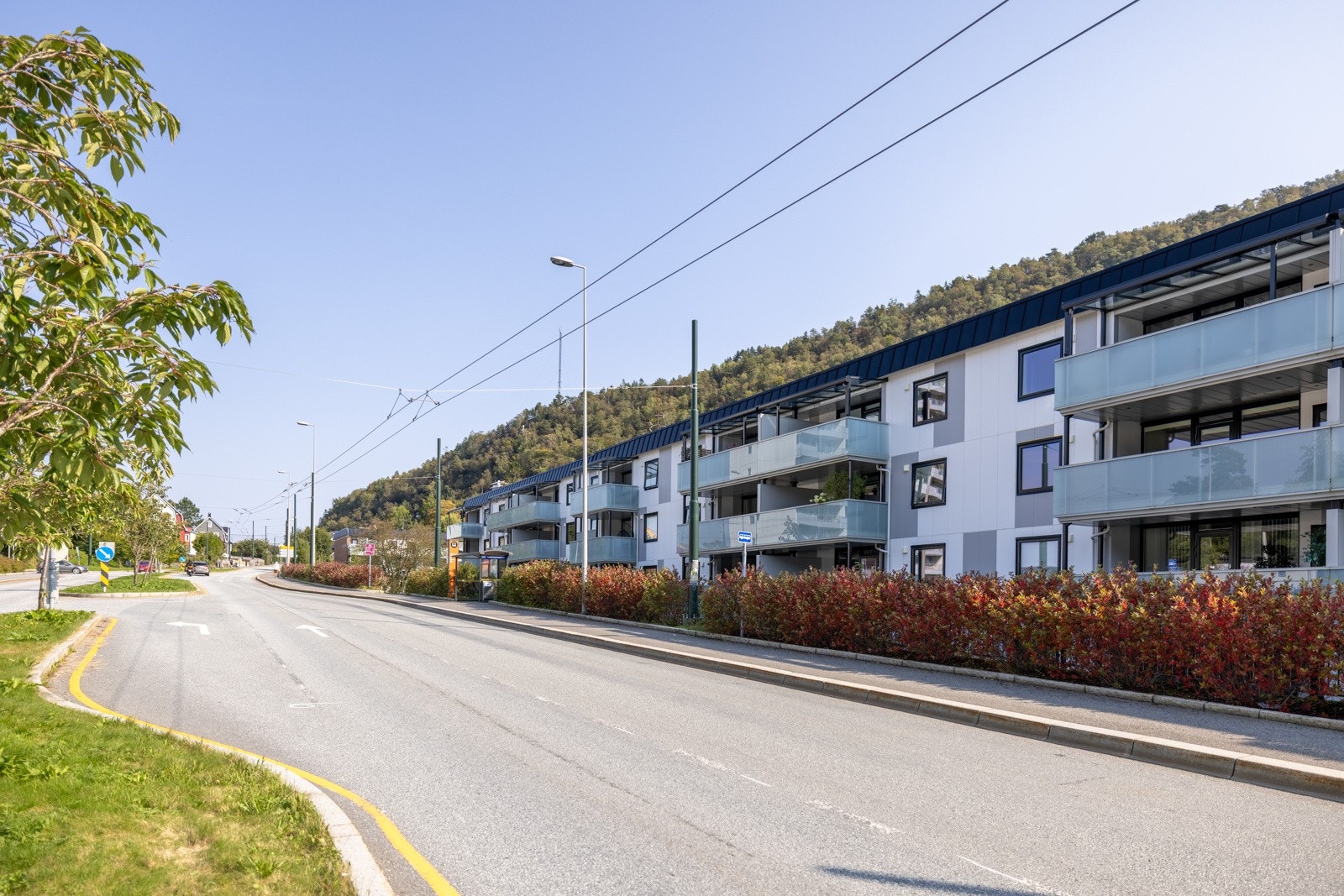 Velkommen til en hyggelig visning - husk å meld deg på! Galleribilde