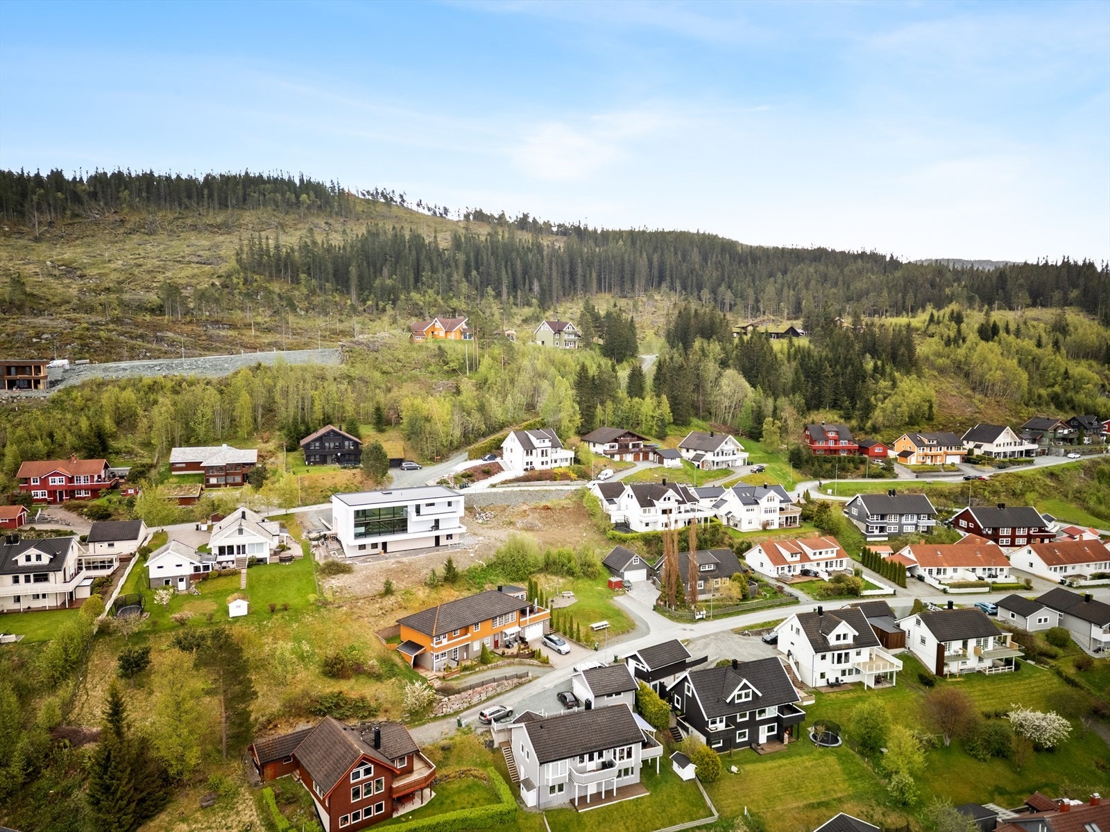 Nært marka, med Vassfjellet rett i bakkant av tomta Galleribilde