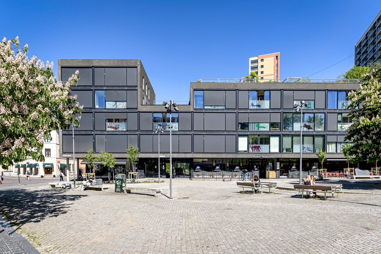 Velkommen til visning! Galleribilde