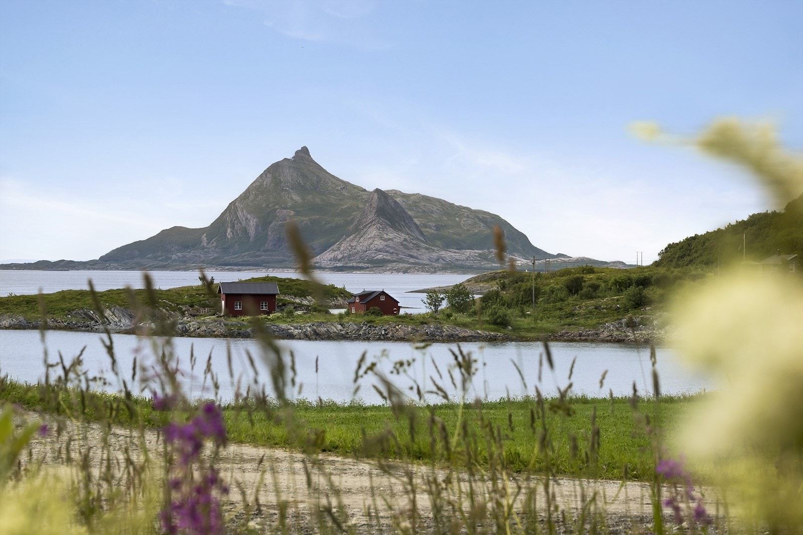 Hestmannen ruver i det fjerne. Galleribilde