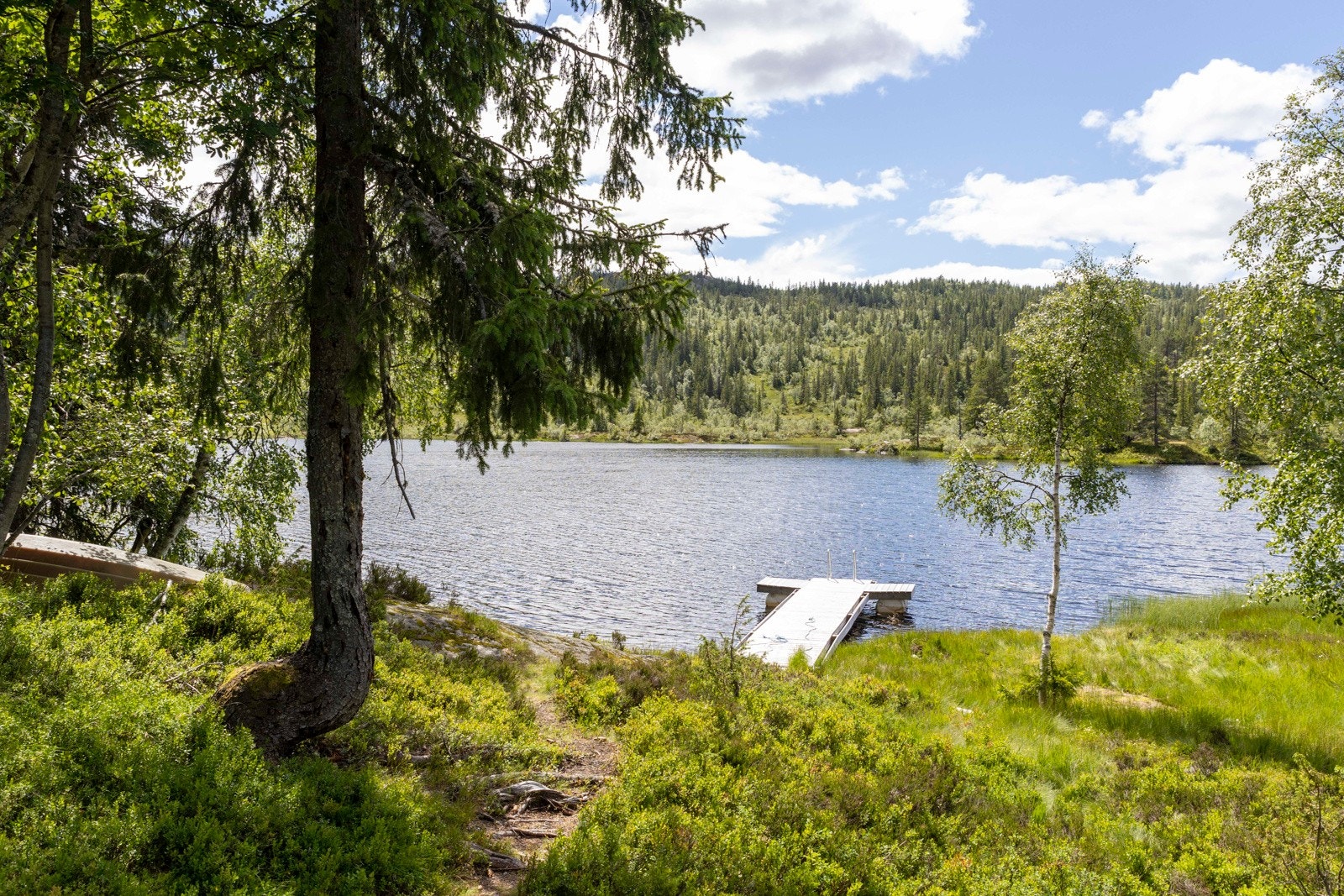 Sjarmerende brygge. Galleribilde