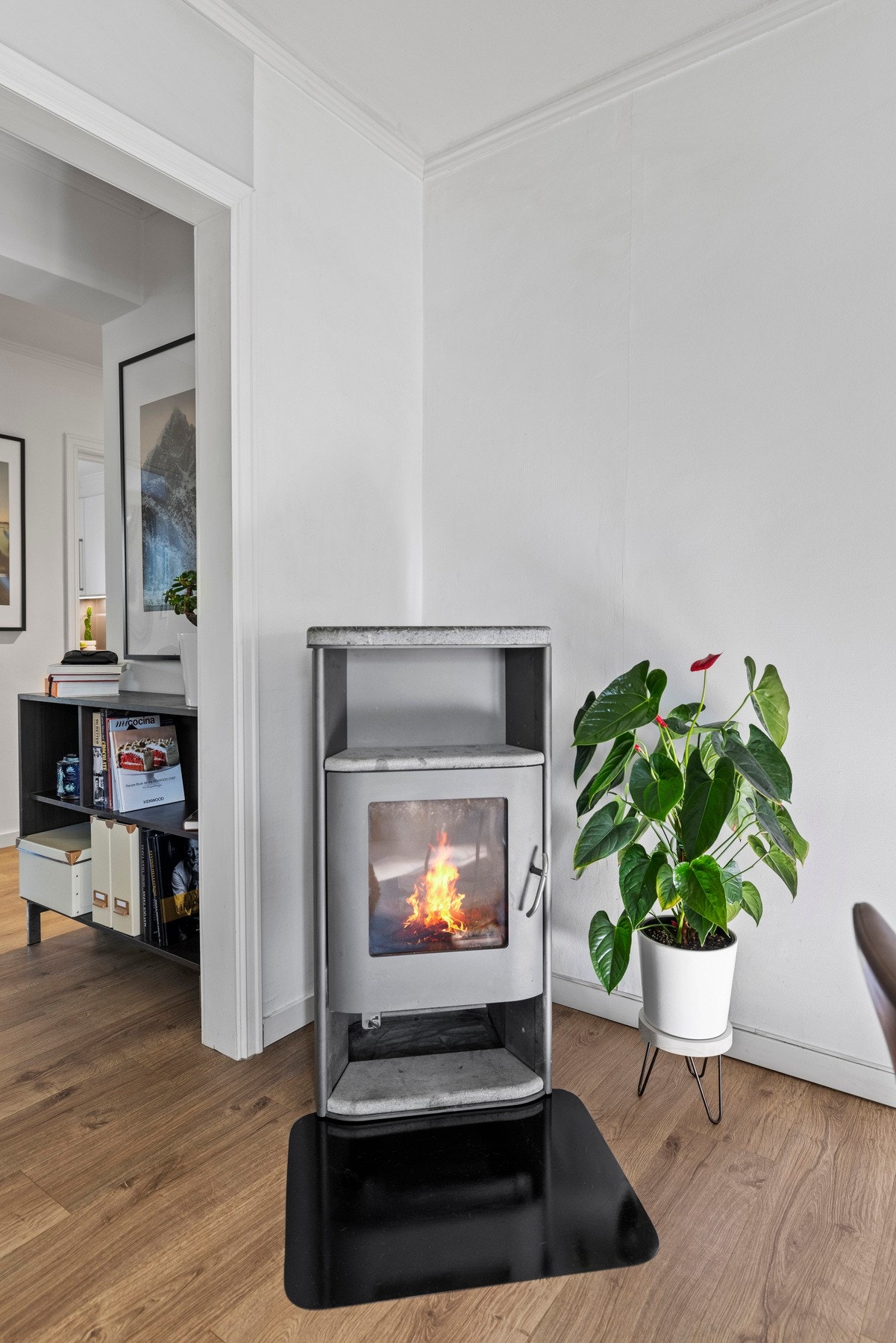 Ildstedet varmer opp boligen om vinteren Galleribilde