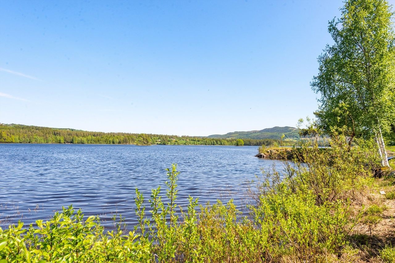 Vakkert! Dette gir "ro i sjela". Galleribilde