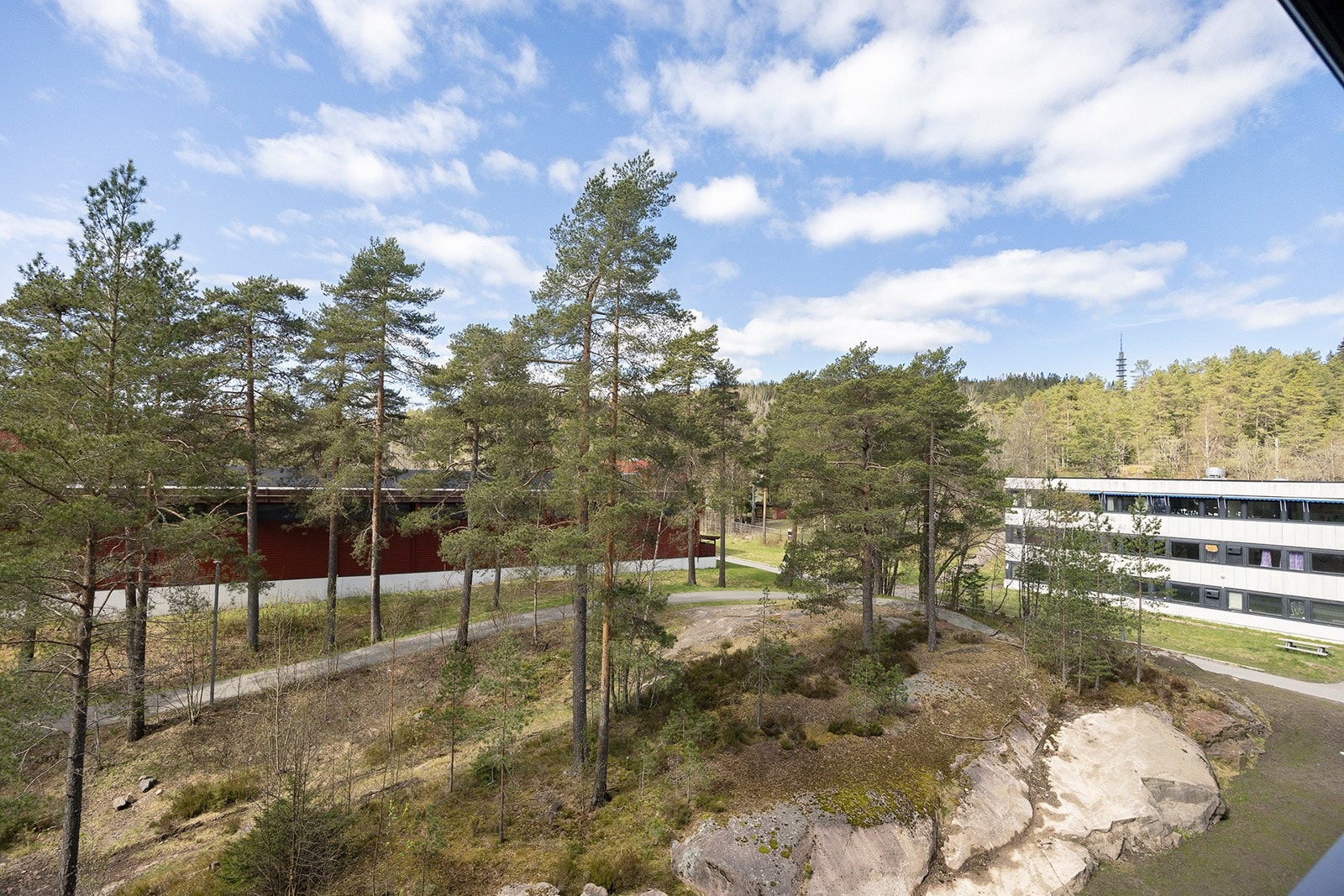 Fin utsikt mot store fine grøntområder Galleribilde