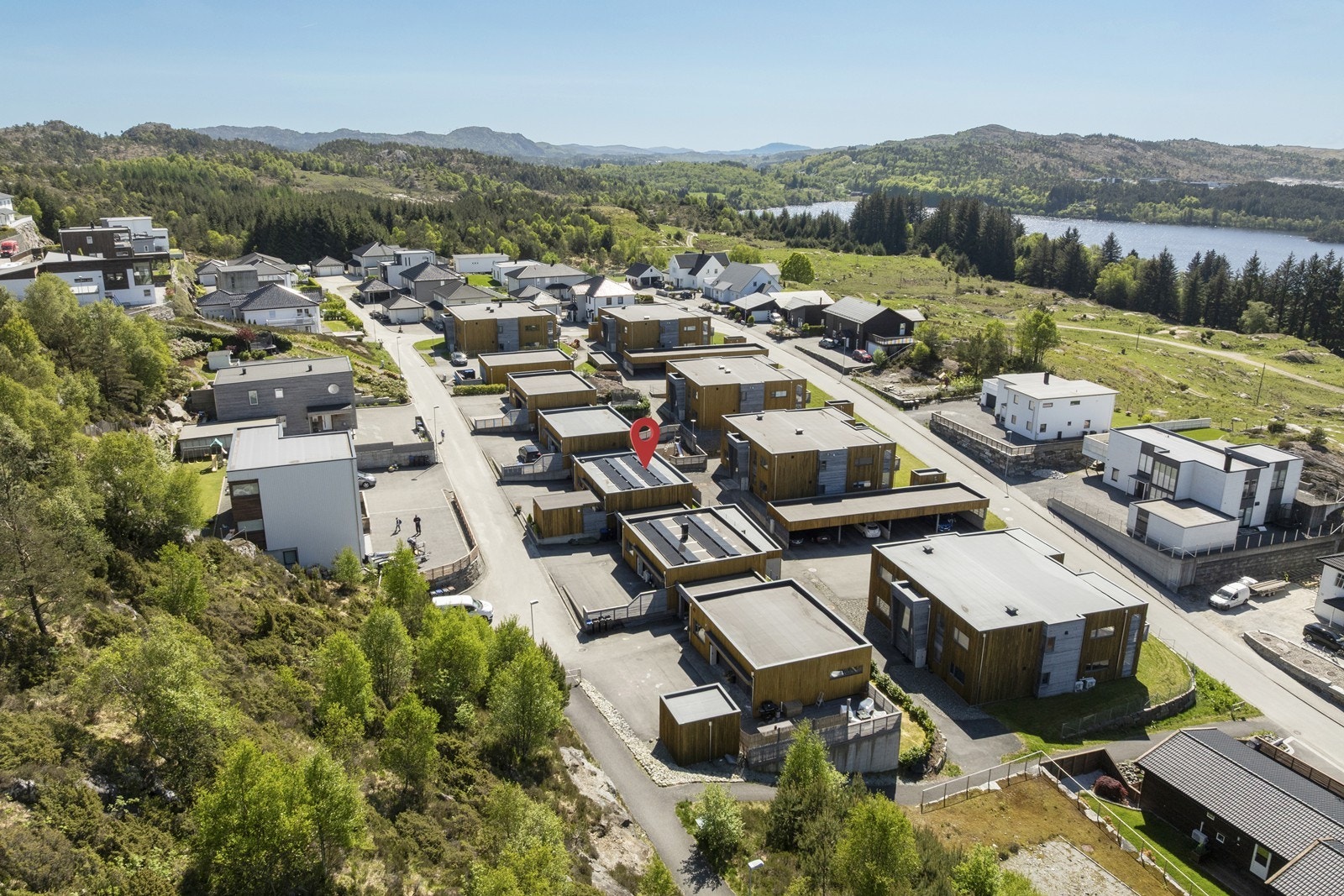 Område. Galleribilde