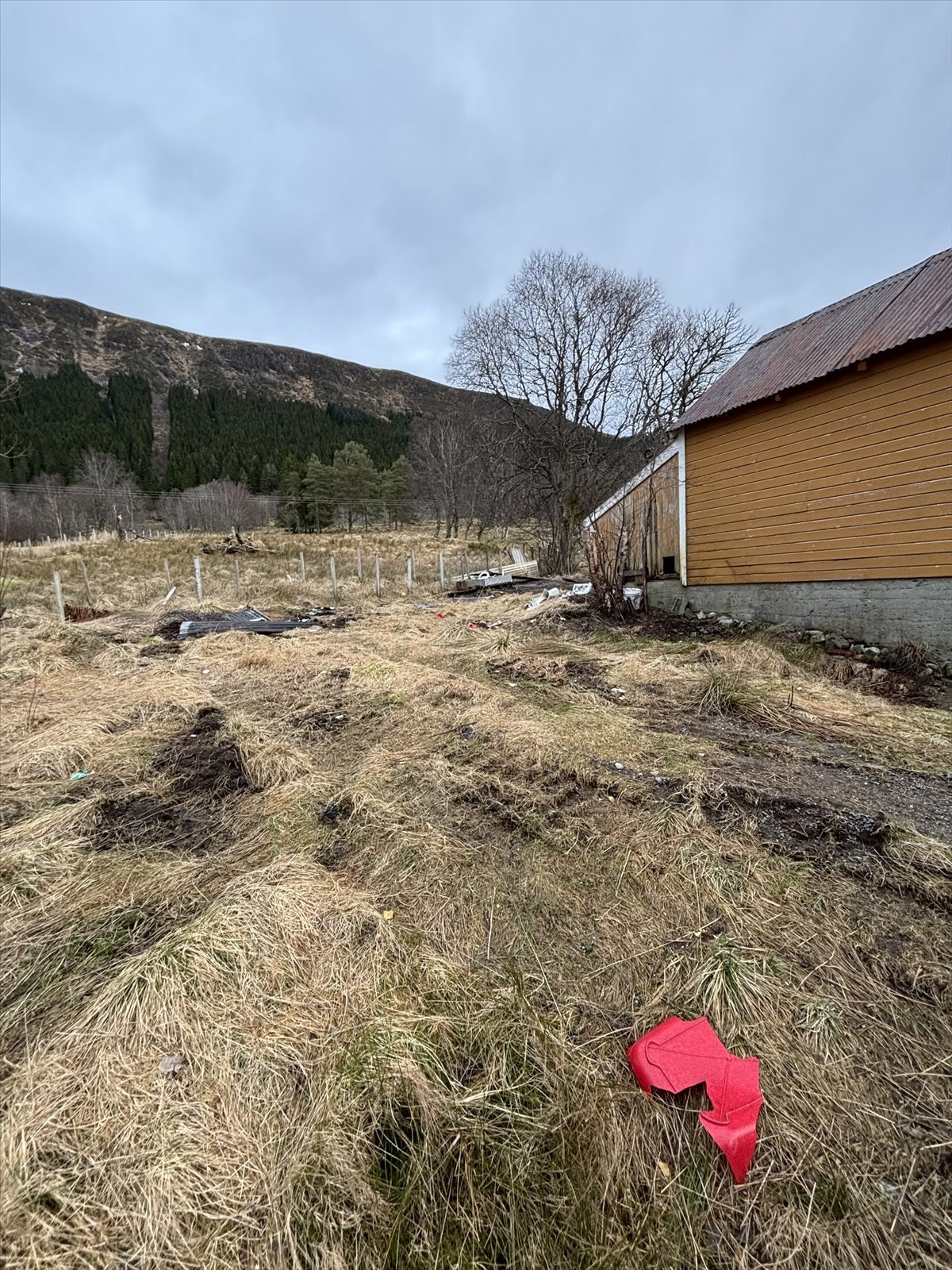 IMG_1822.jpeg Galleribilde