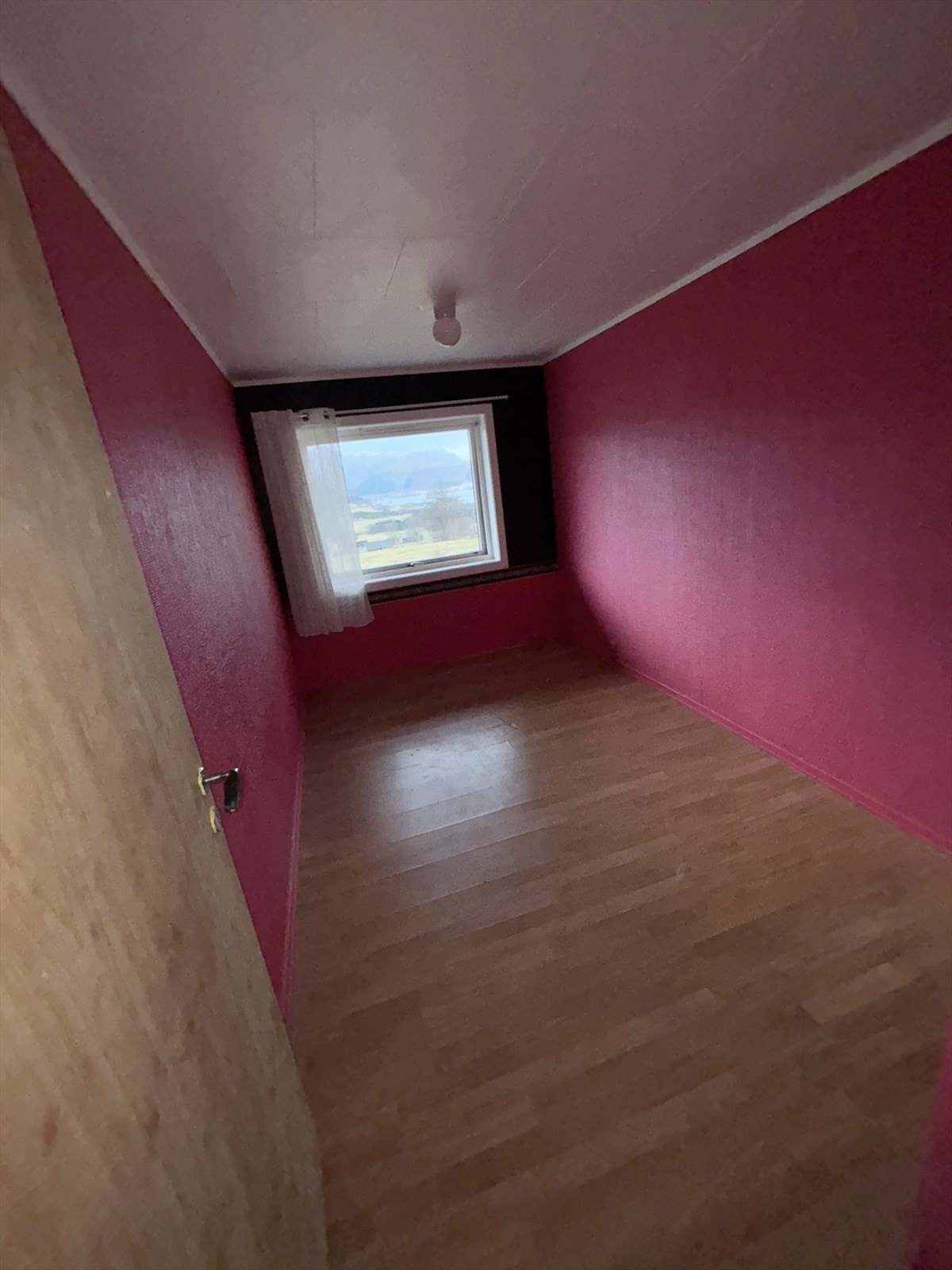 IMG_1851.jpeg Galleribilde